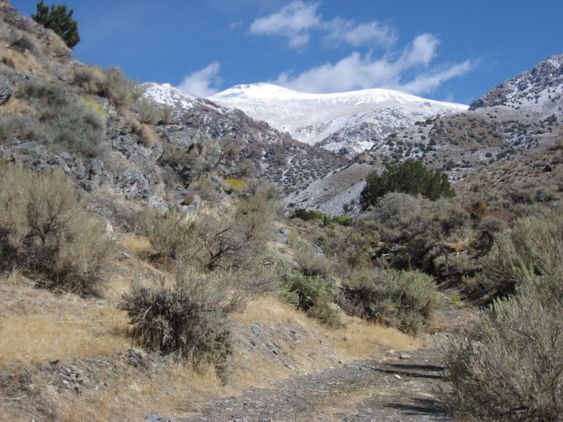 Humboldt Mountains with Snow