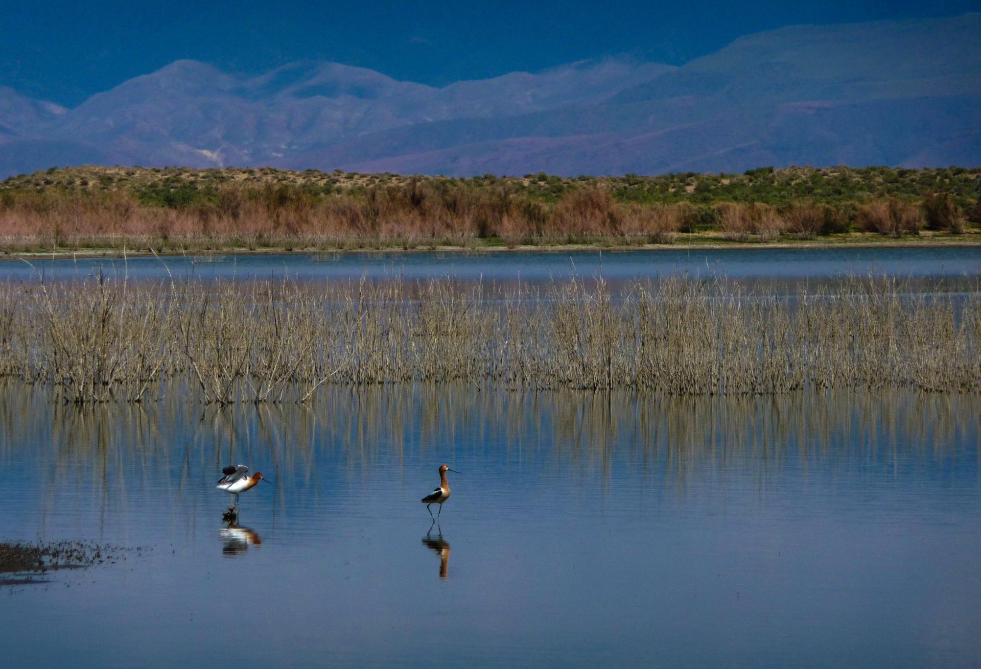 D20090523F1040304bsm