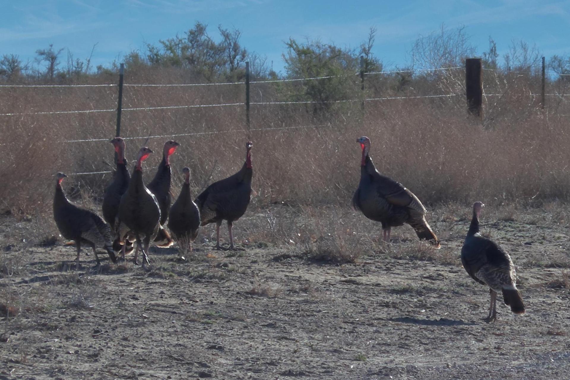 D20160403F1130128rwsm