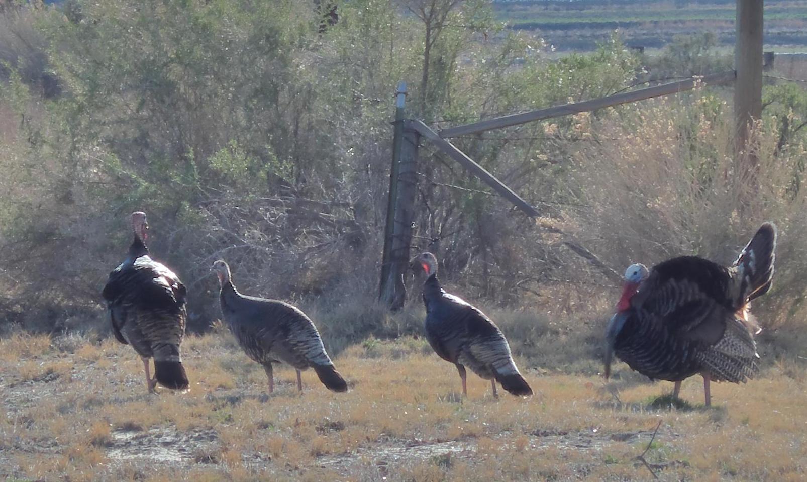 D20160403F1130130rwsm