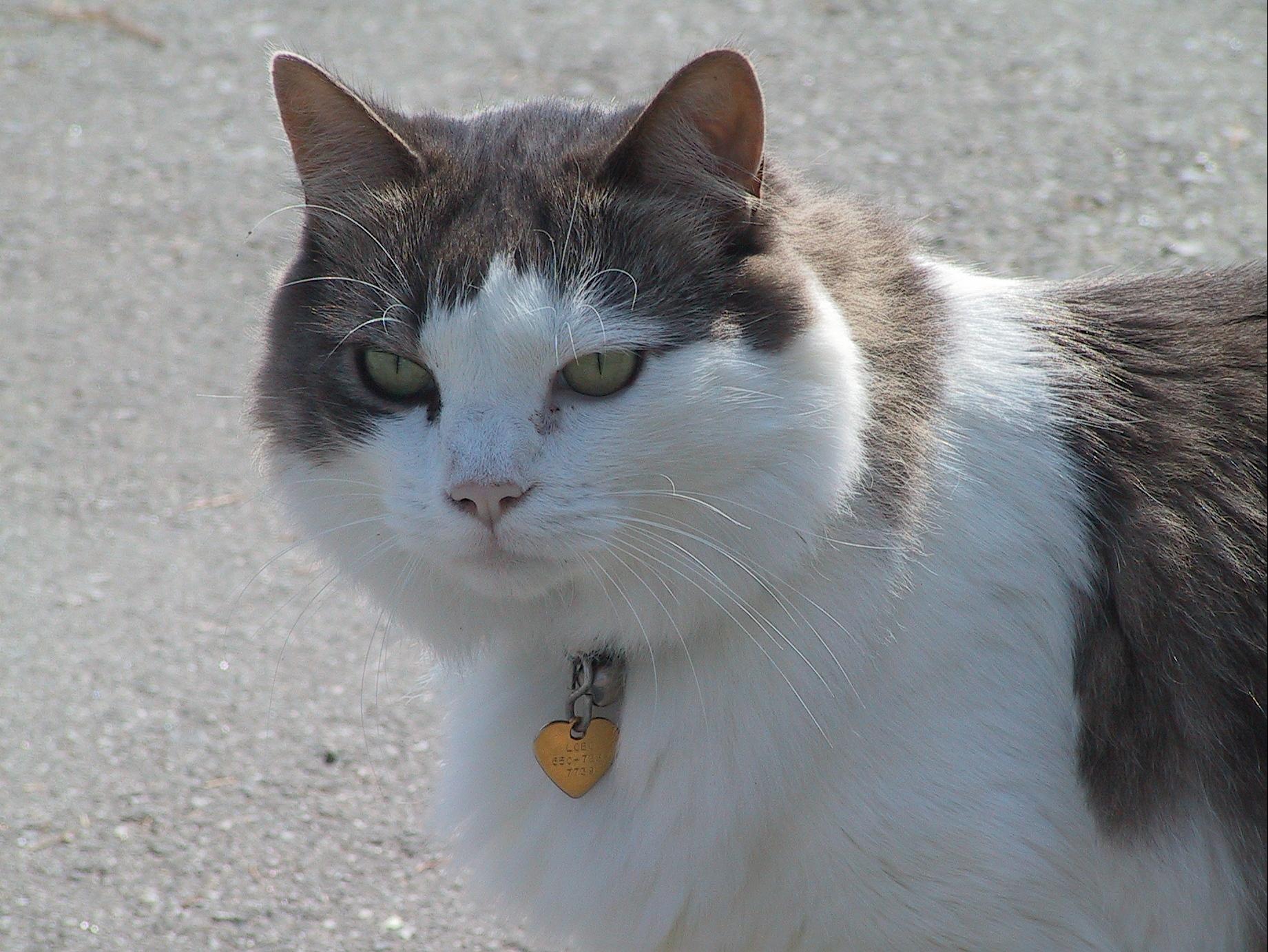 Im20041003dIMG6056RJsm