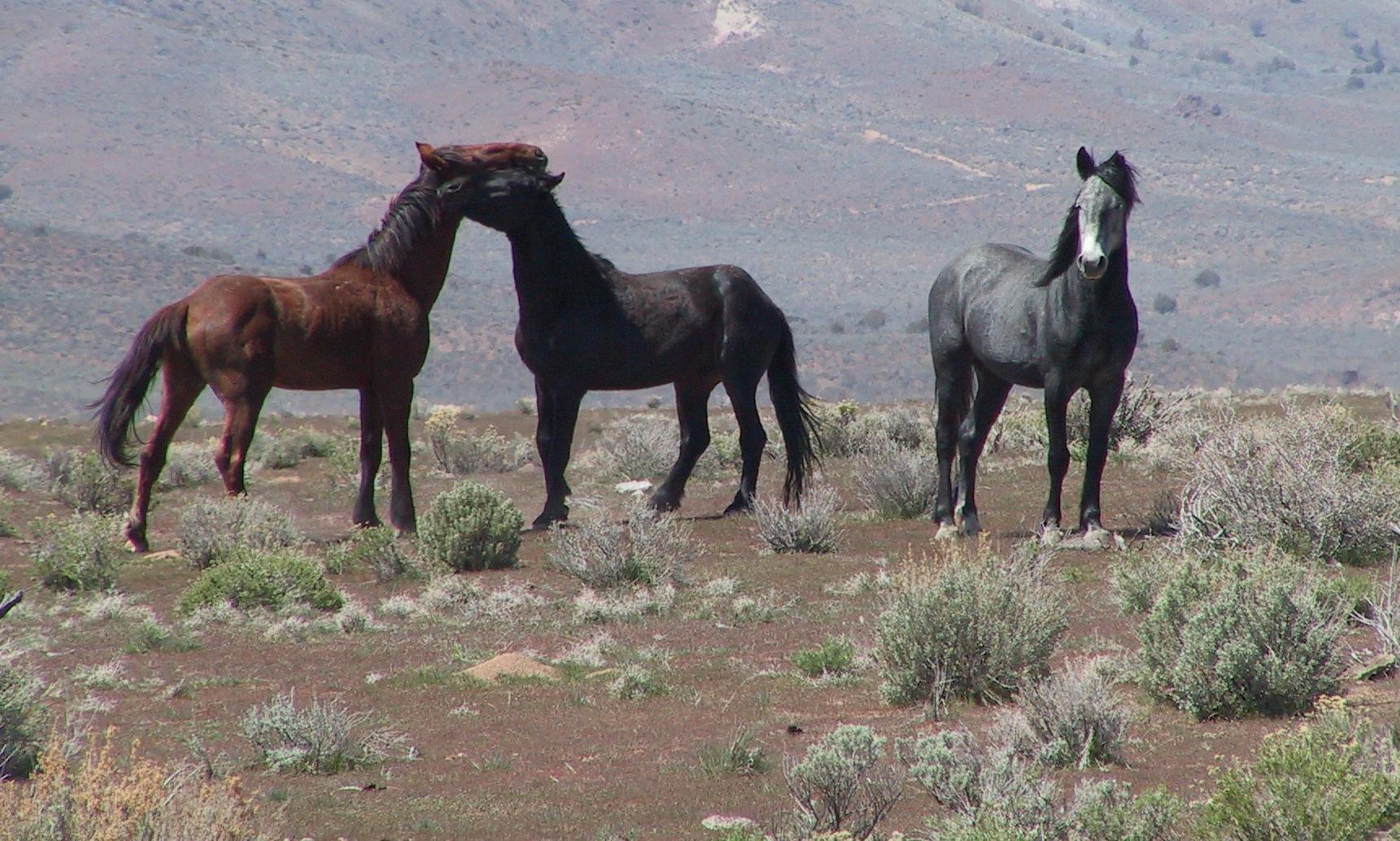 Im20050410dIMG8163RJsm