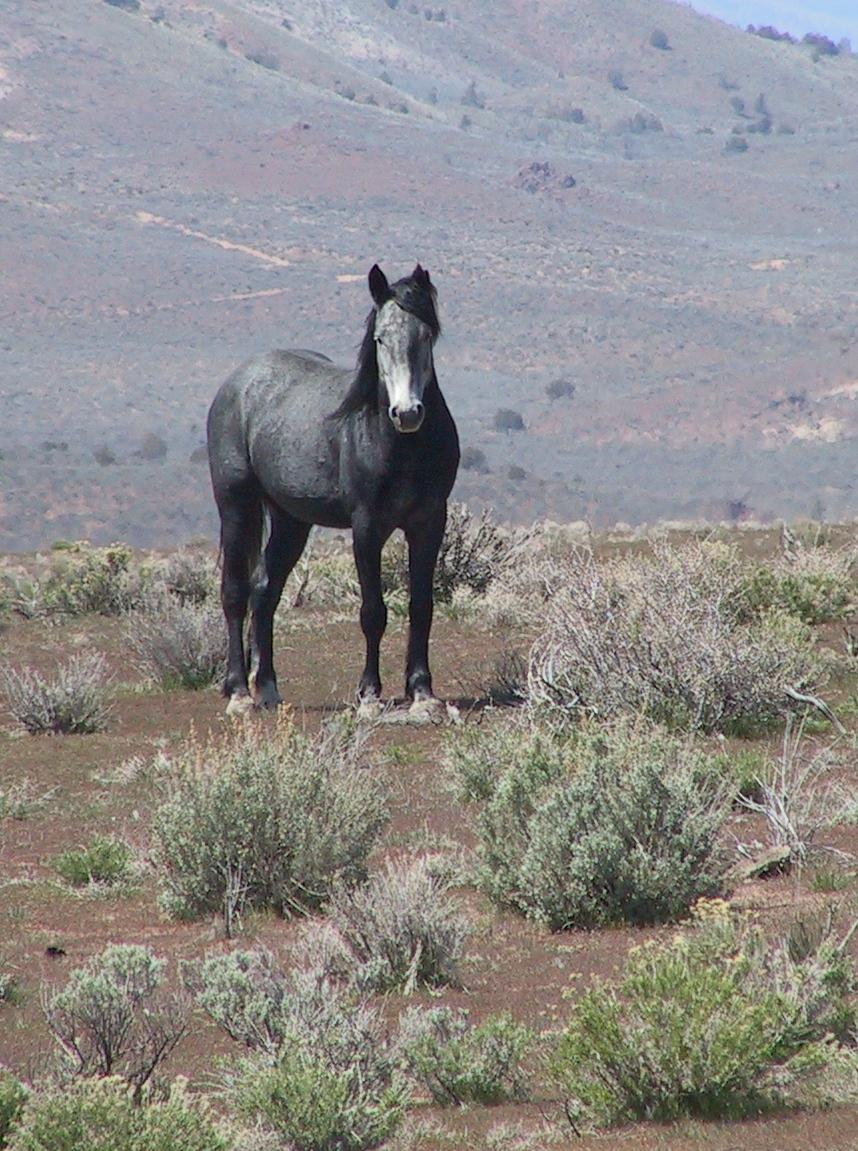 Im20050410dIMG8167RJsm