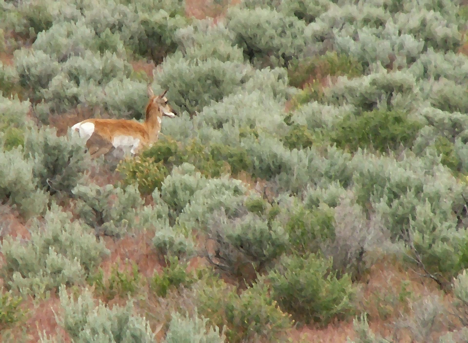 Im20060522mPICT3861sm