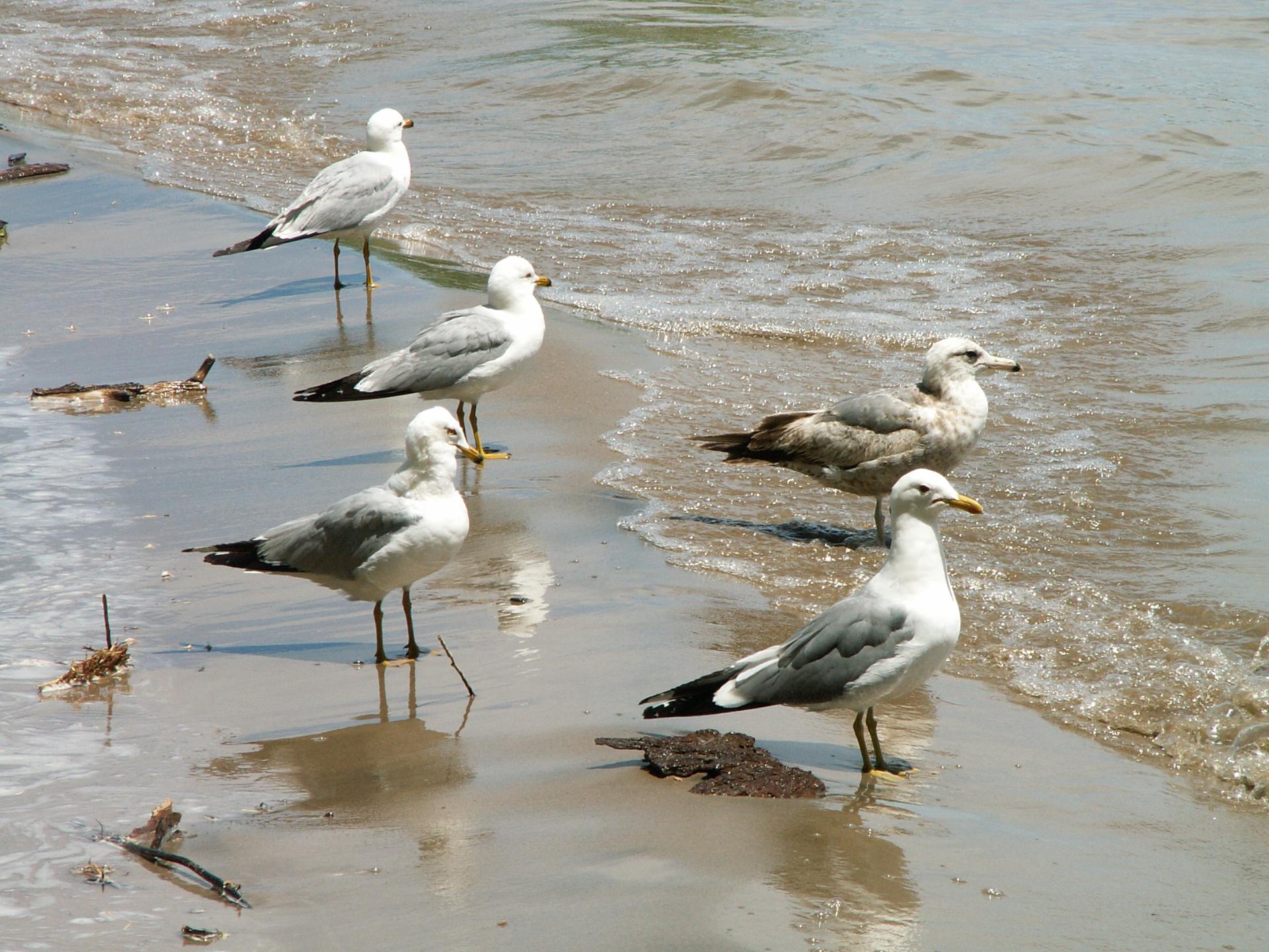 Im20060603mPICT4211sm