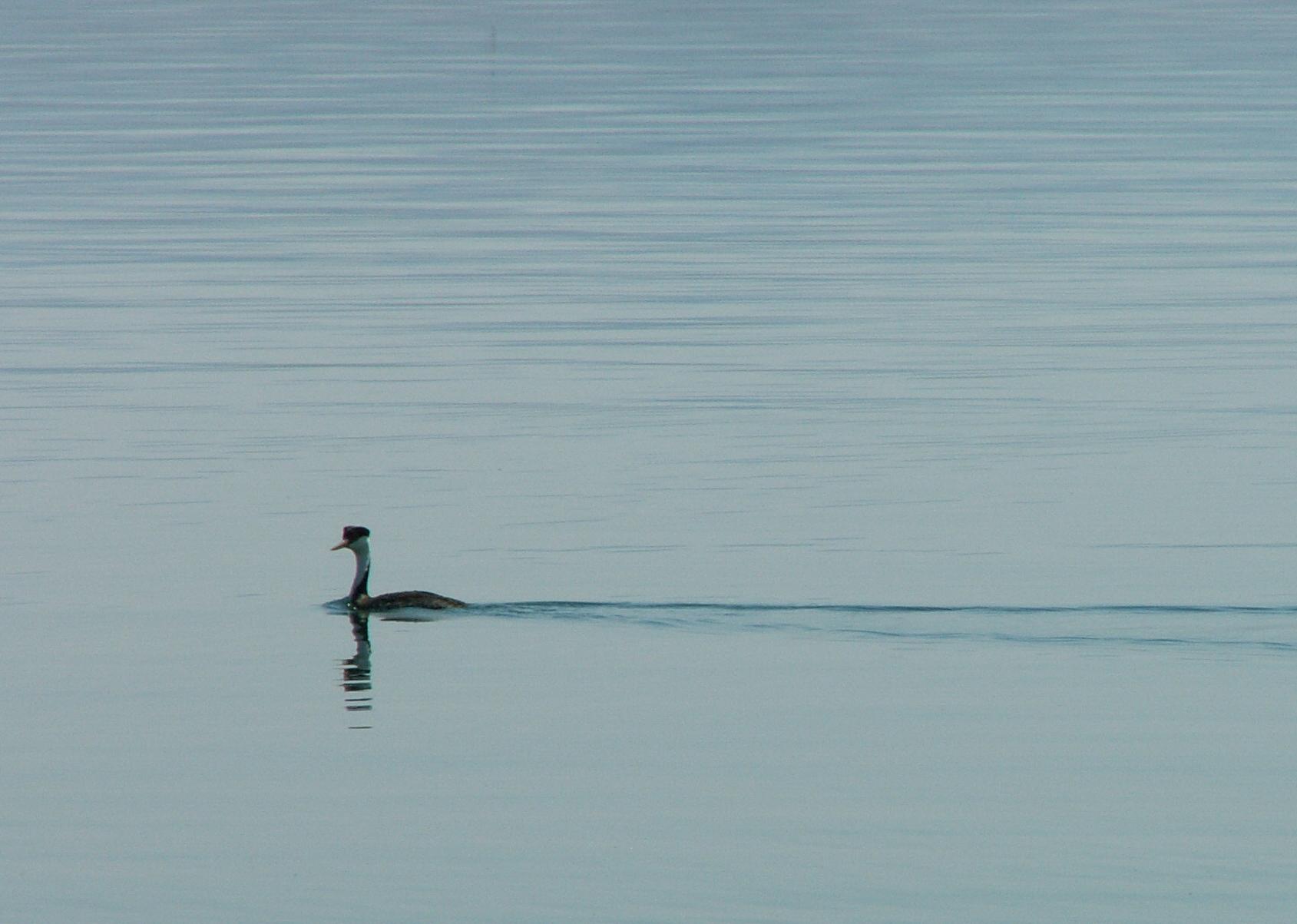 Im20060626mPICT4856sm