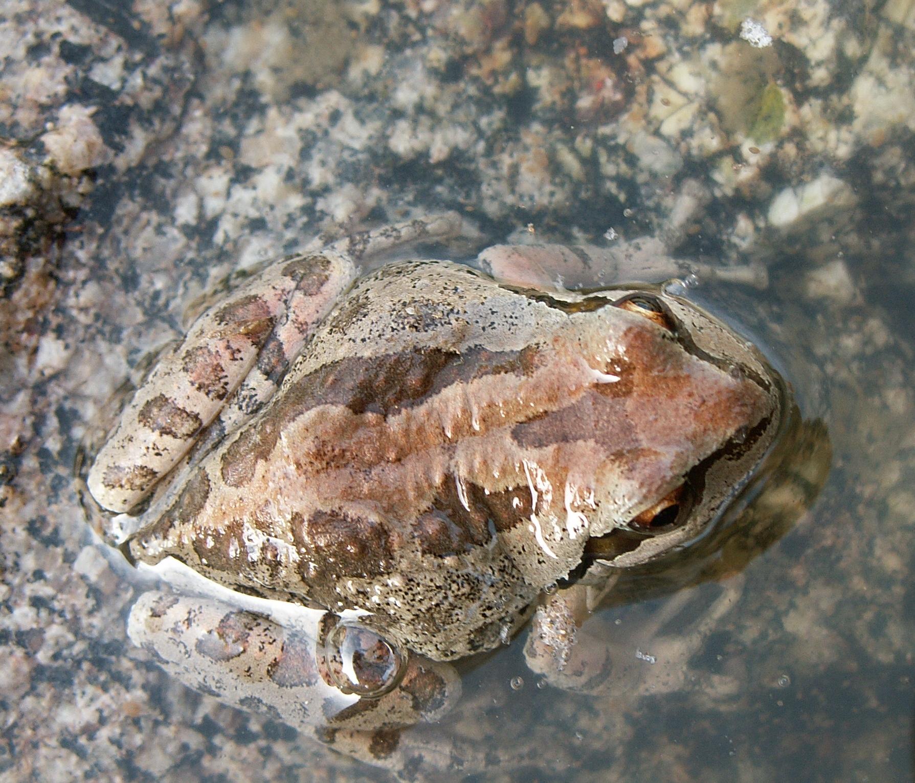 Im20070603cmPICT9716sm