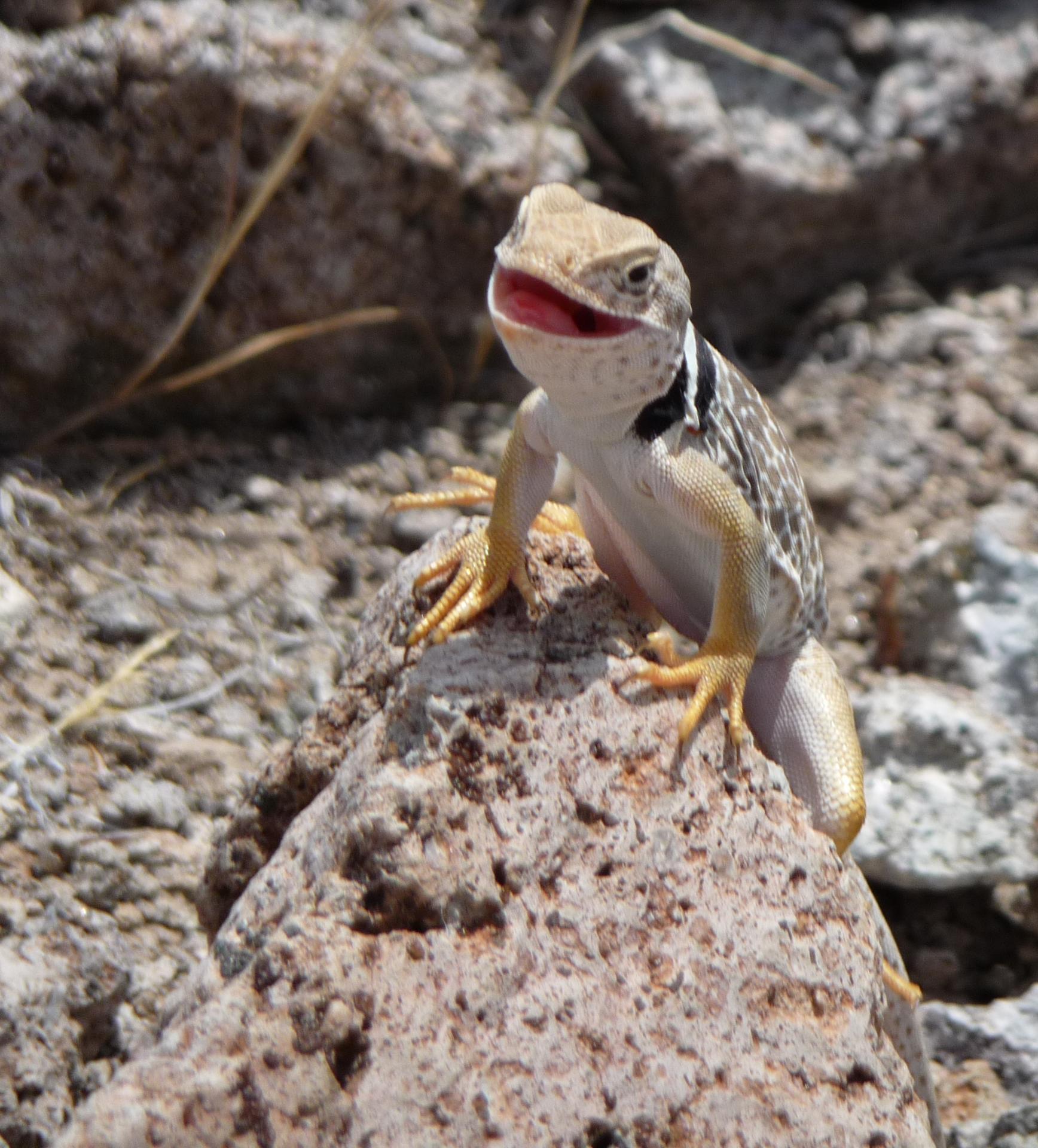 Im20090702apP1050473sm