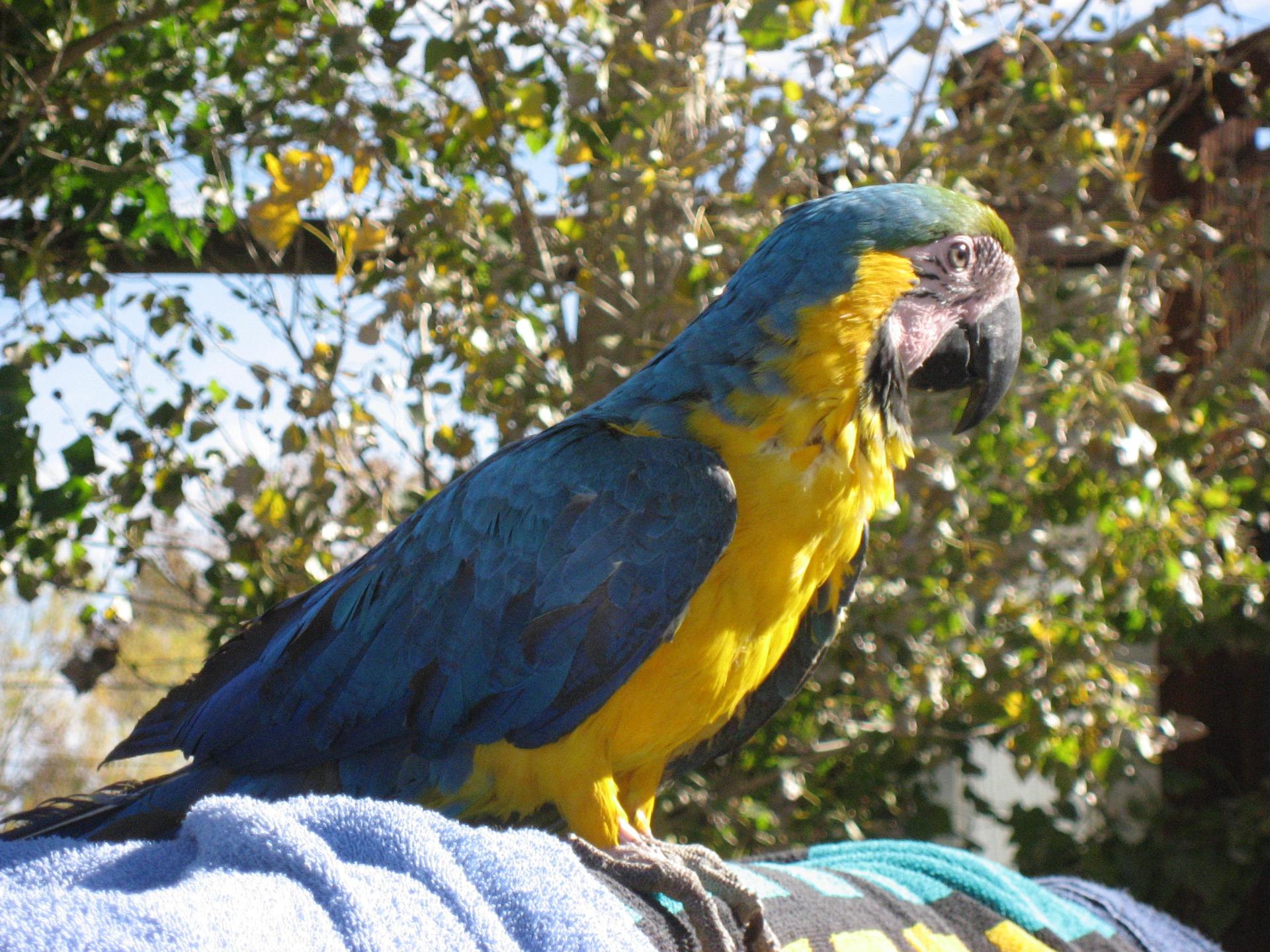 Im20091022cjIMG4483sm