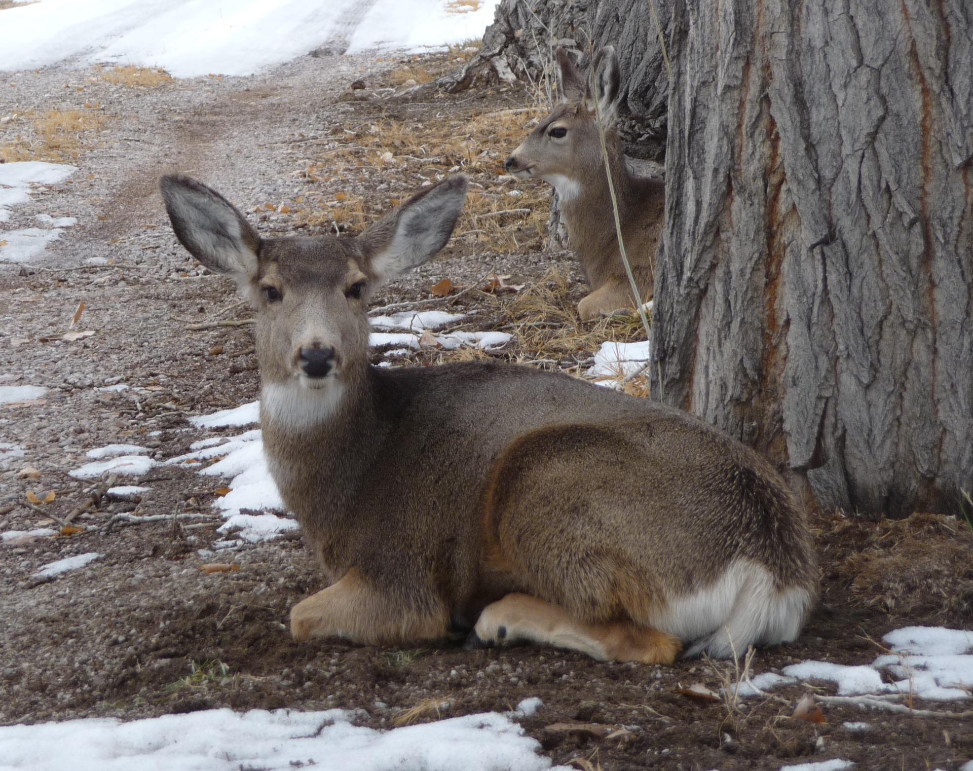 Im20100116pP1100908sm