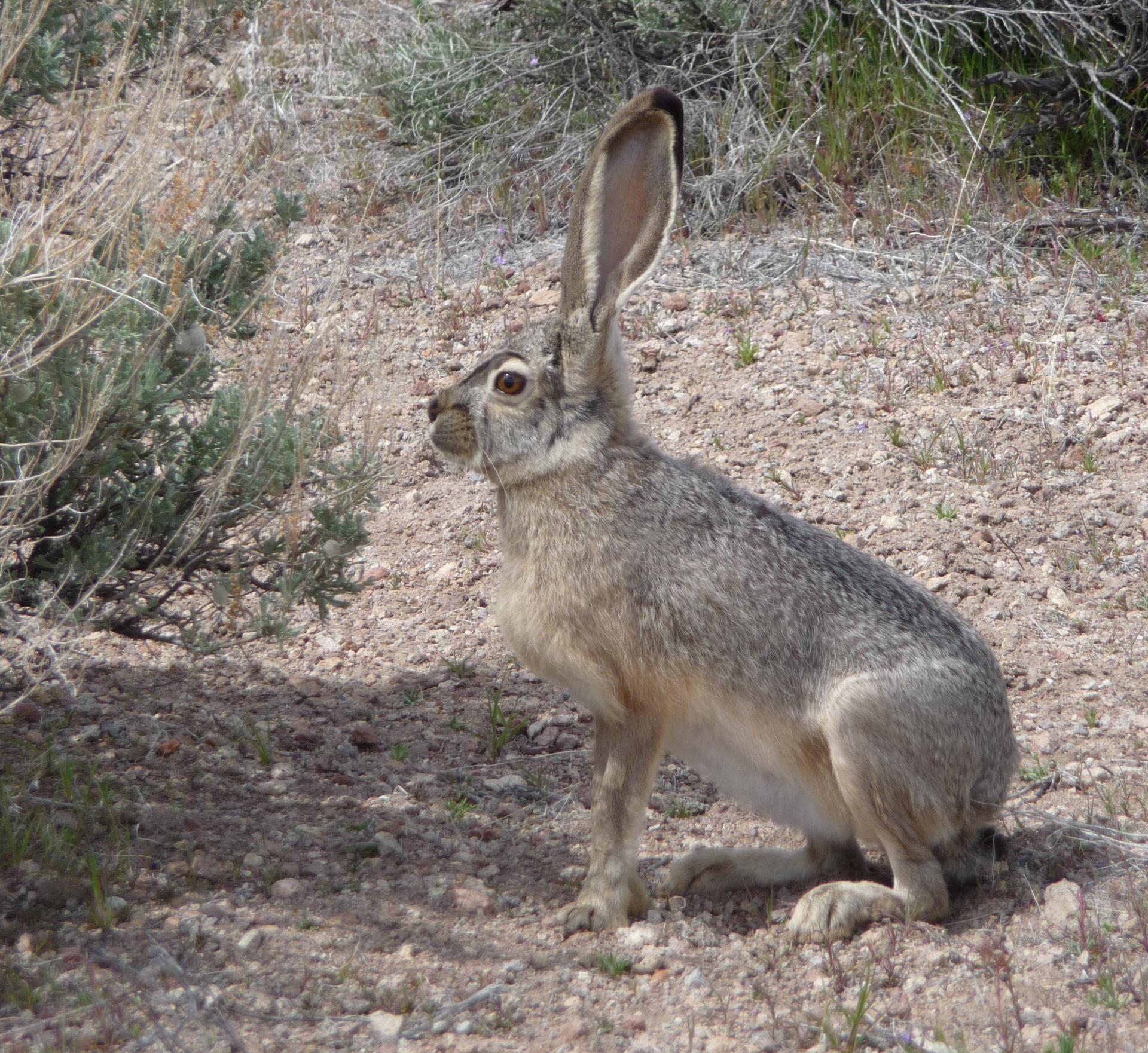 Im20100410pP1120535sm