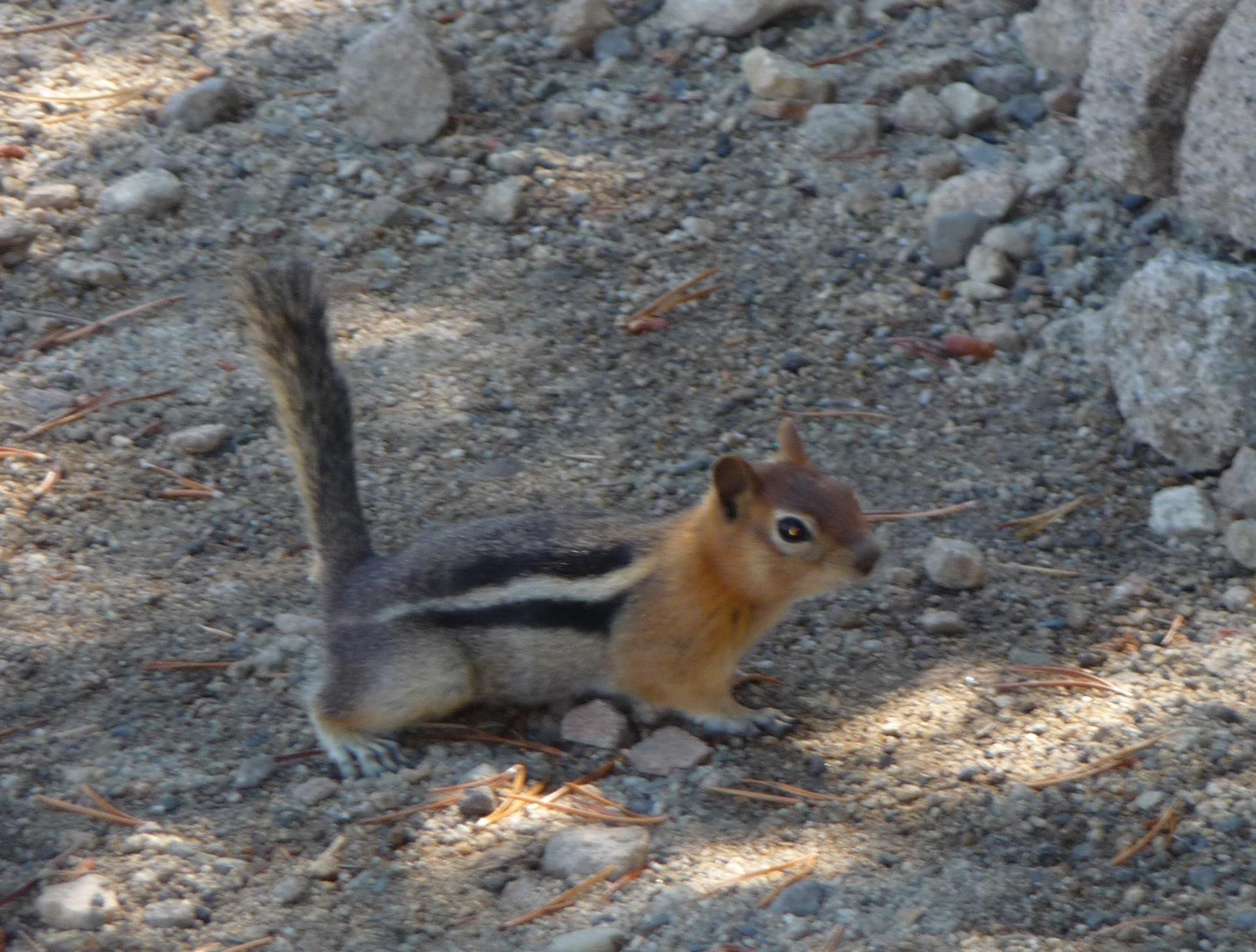 Im20100901pP1150595asm