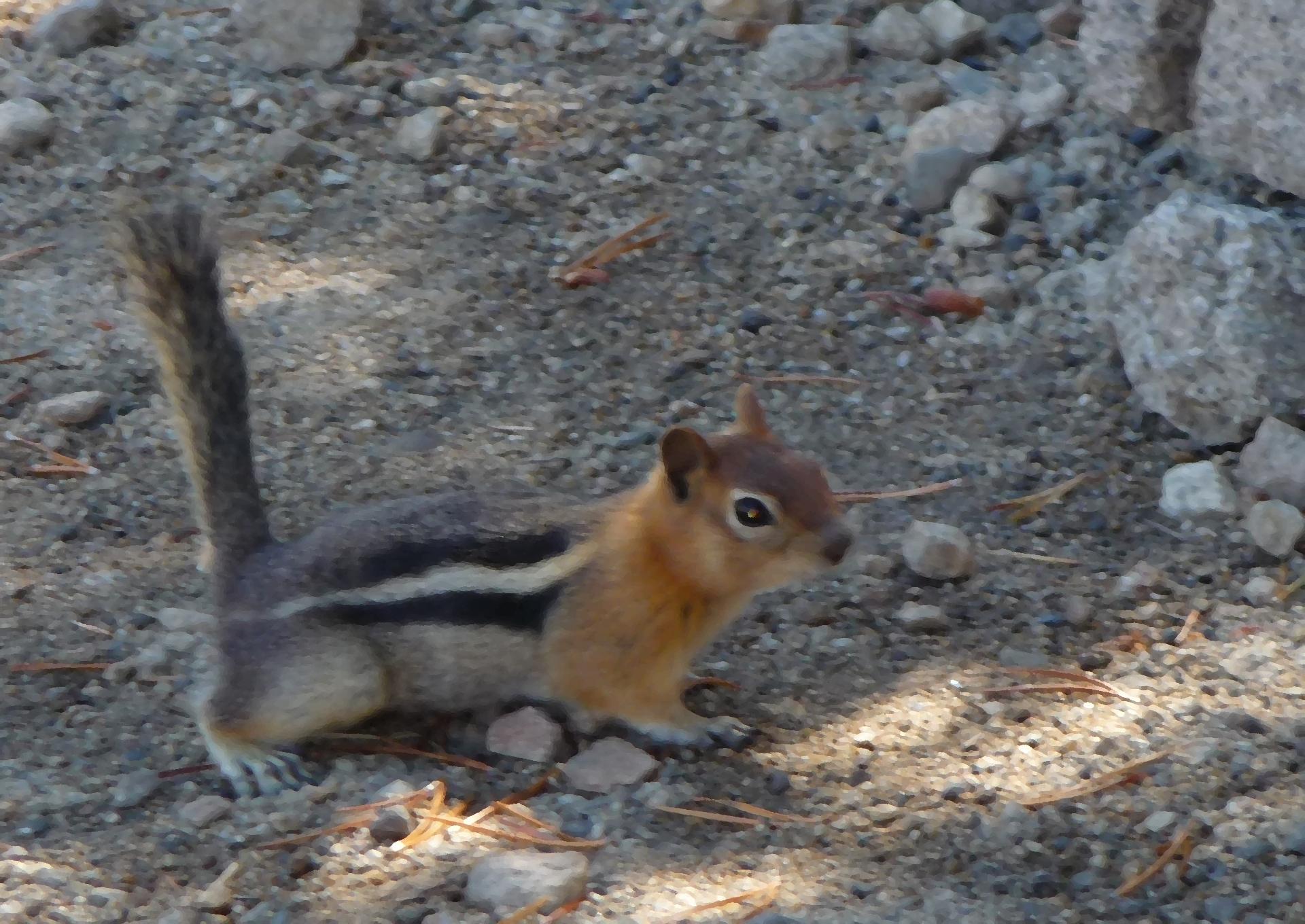 Im20100901pP1150595sm