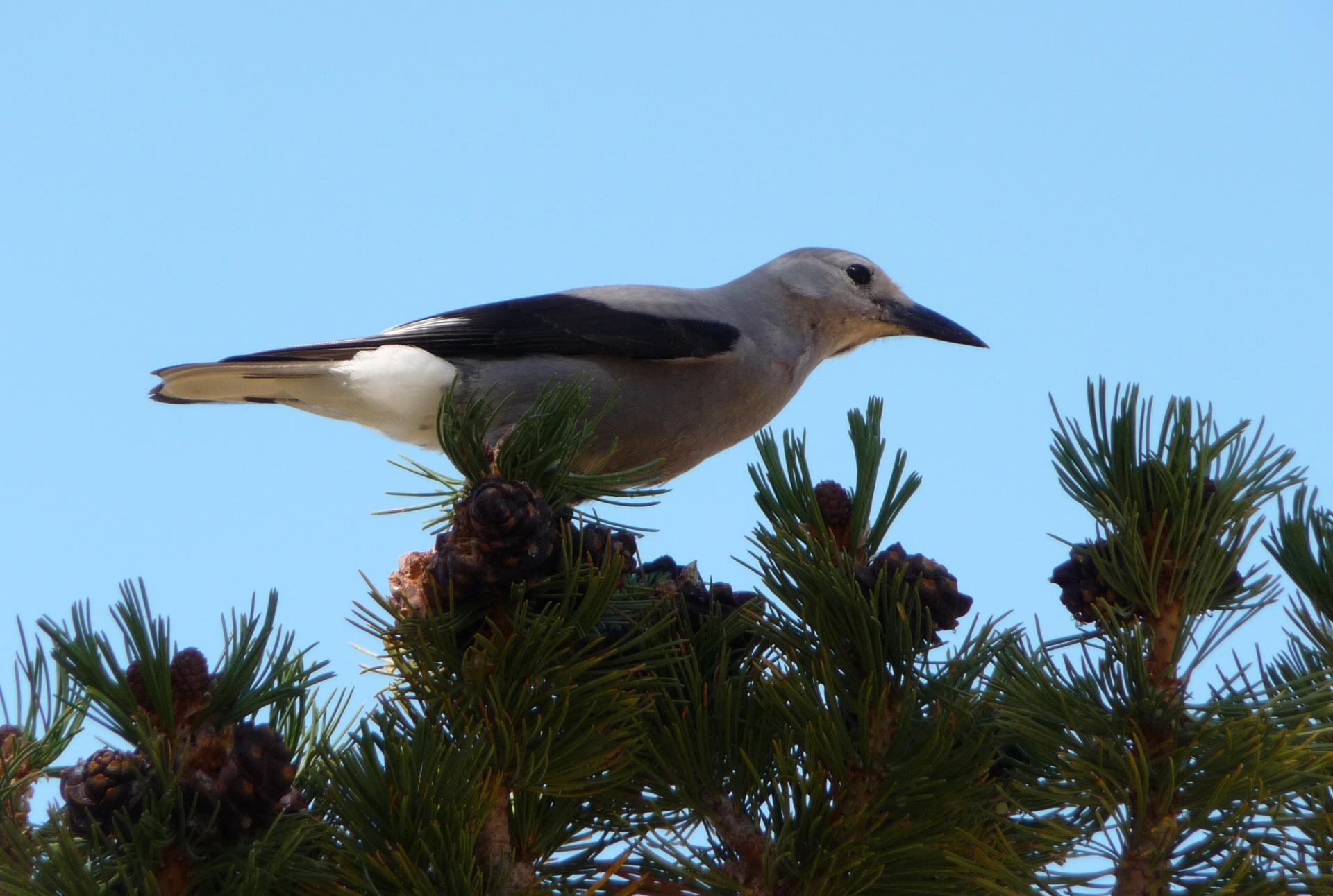 Im20100902pP1150987sm