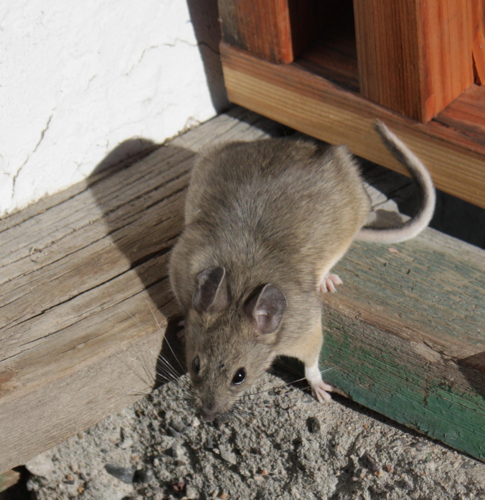 Im20110704crIMG3610sm