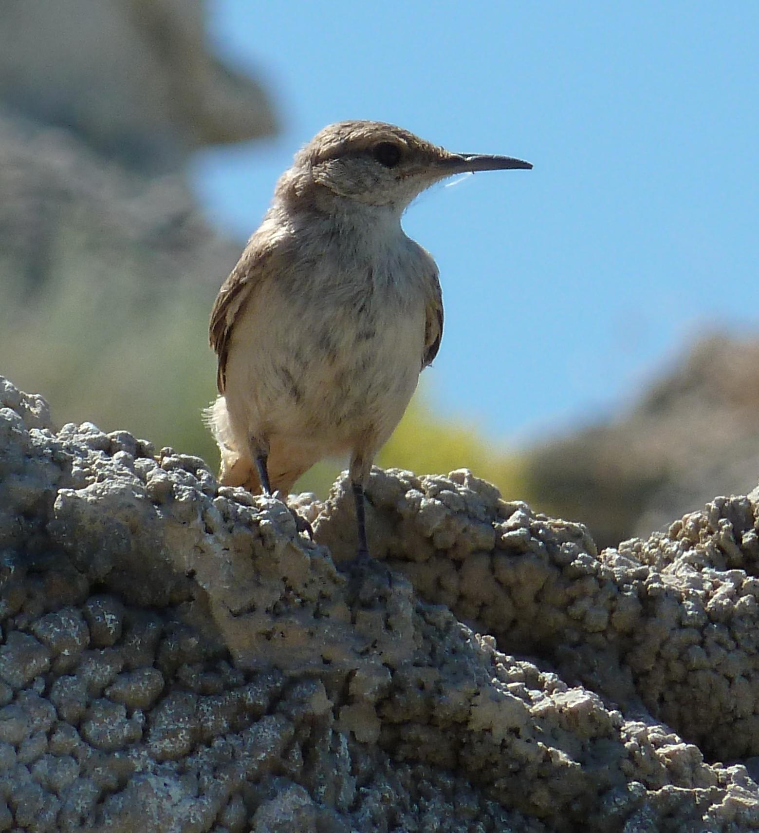 Im20110710pP1020001sm