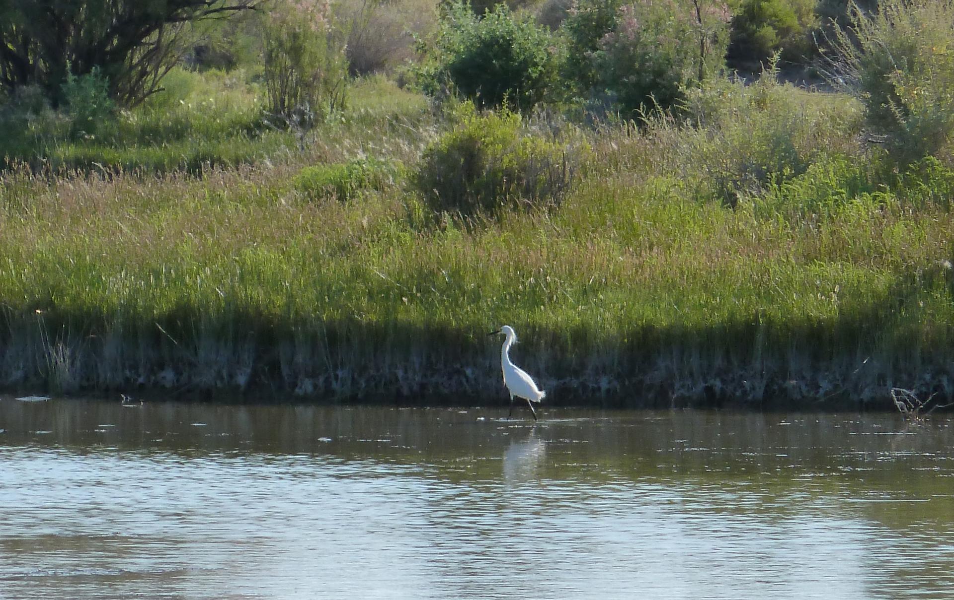 Im20110724pP1020201sm