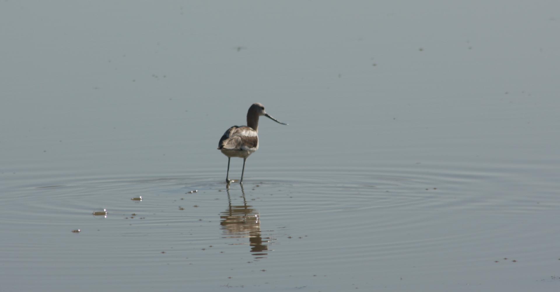 Im20110805crIMG3815sm