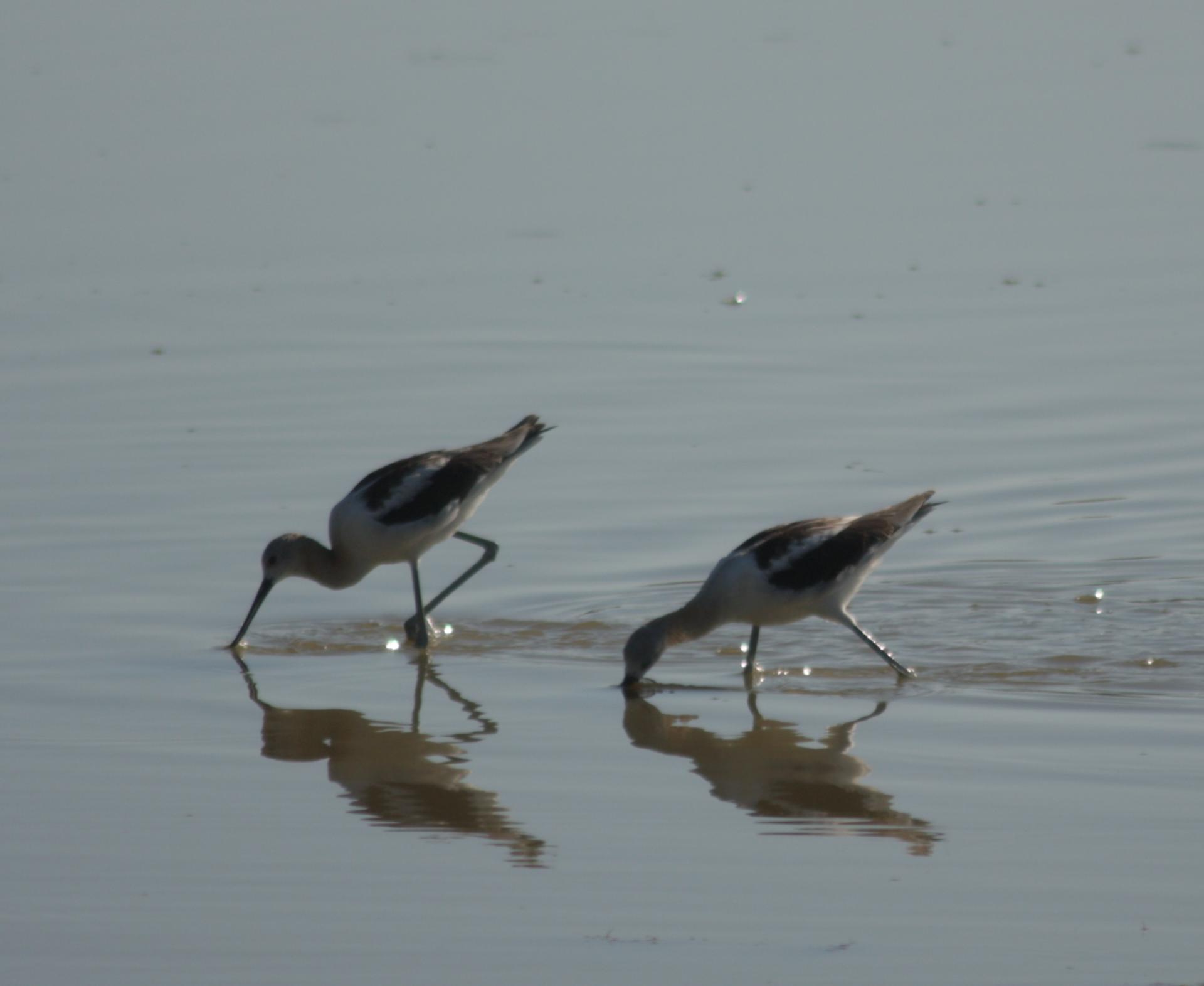 Im20110805crIMG3870sm