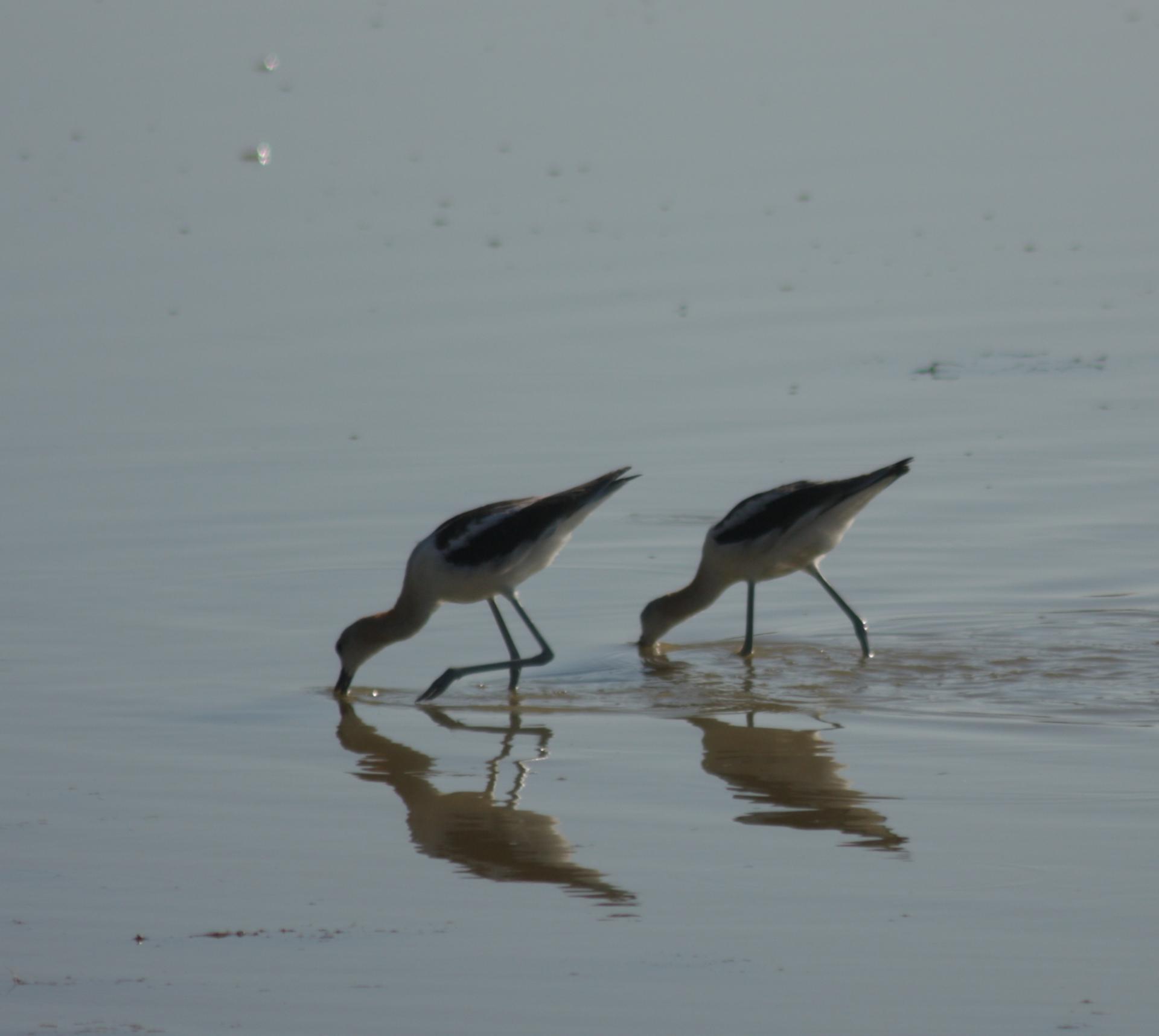 Im20110805crIMG3873sm