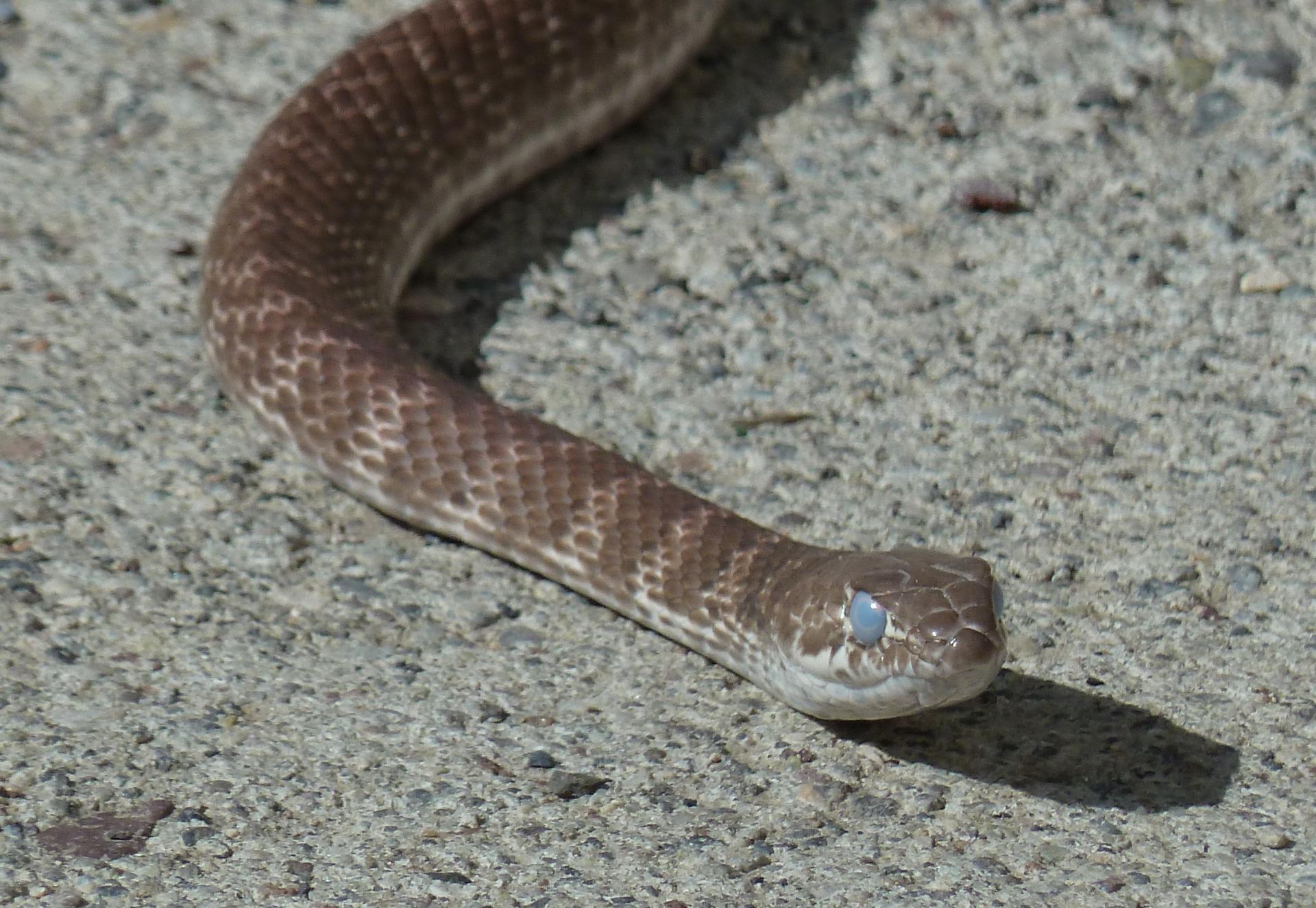 Im20111009pP1040026sm