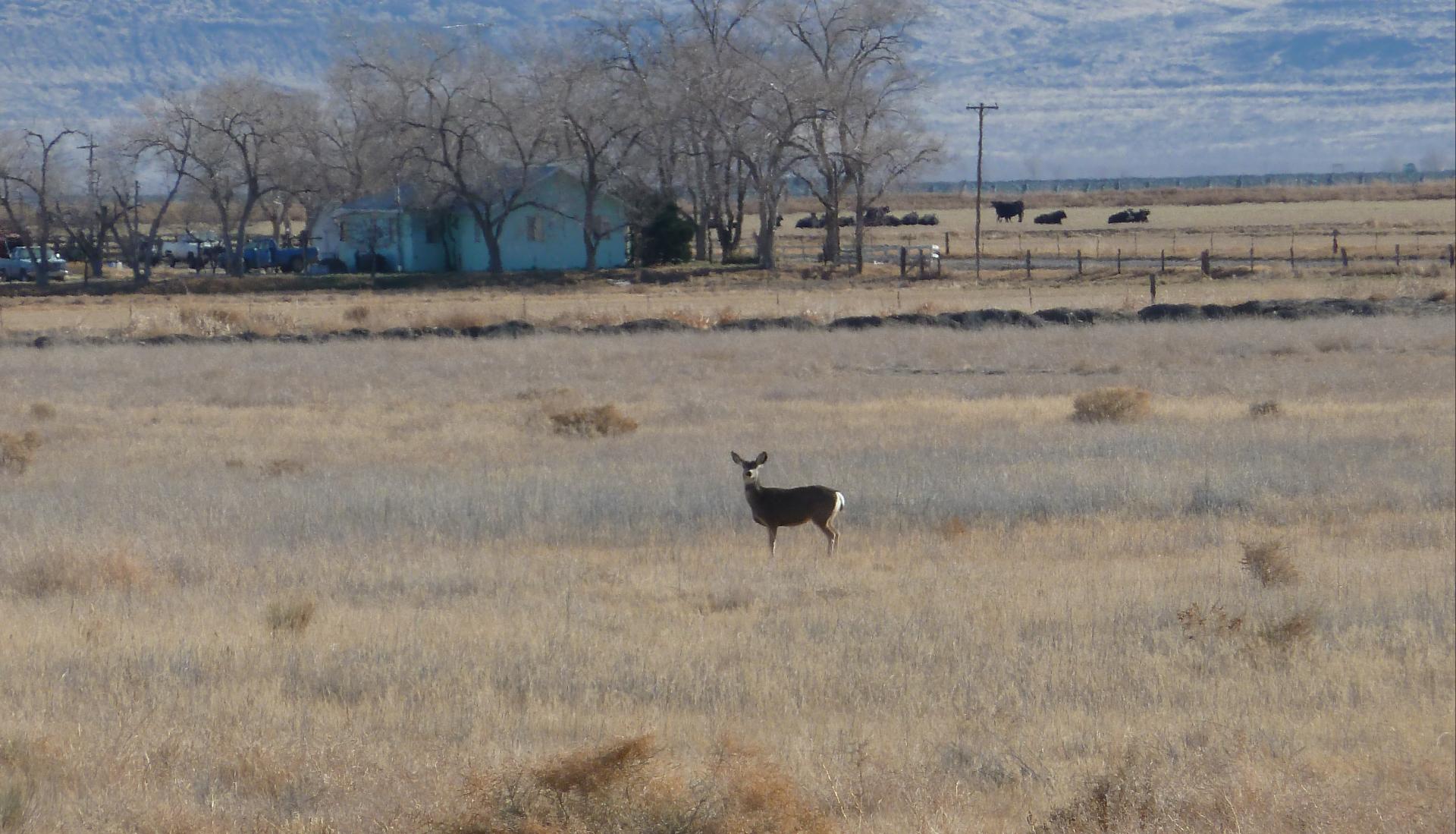 Im20111204pP1040604sm