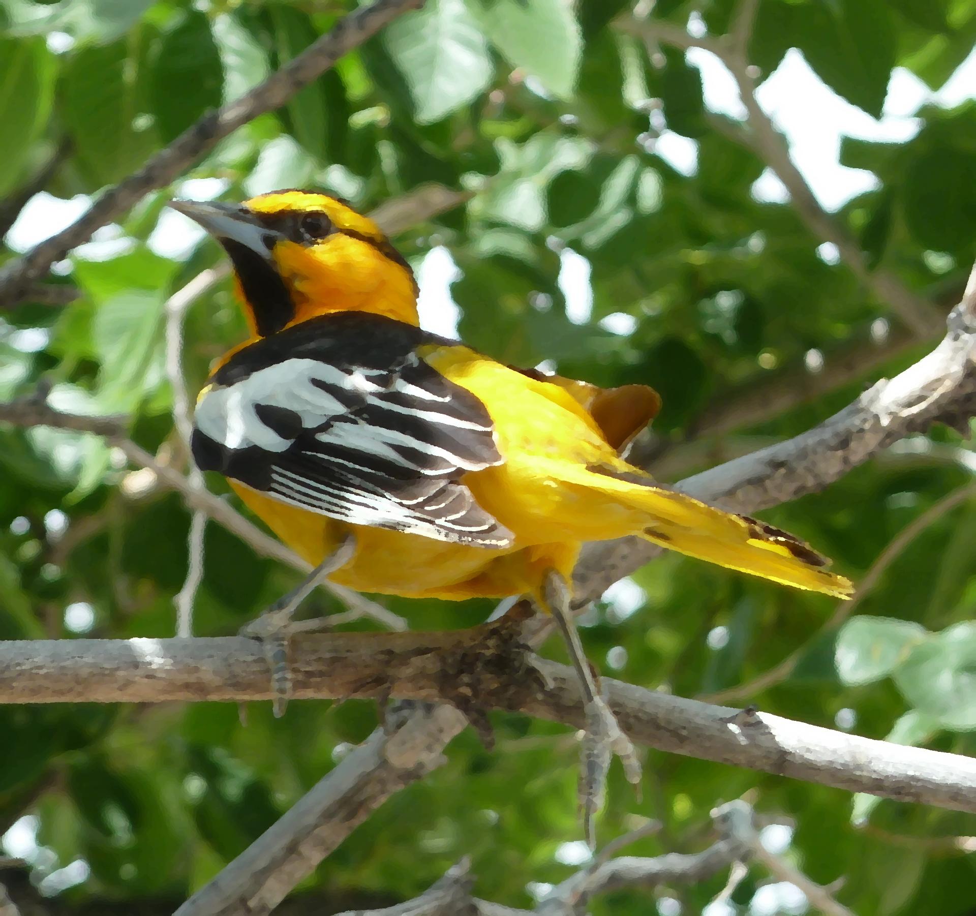 Im20120519pP1070121sm