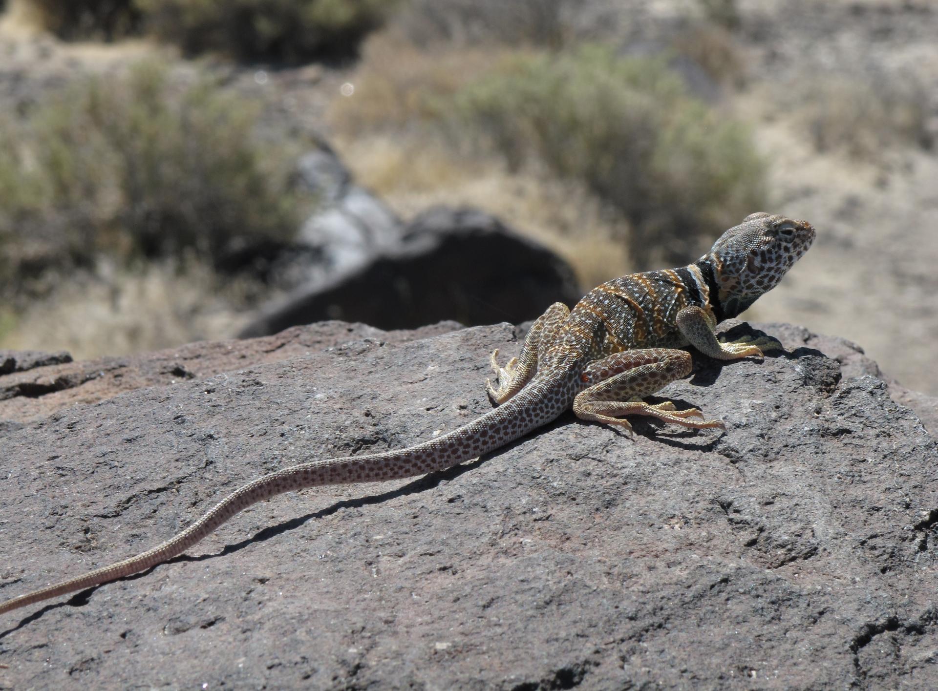 Im20120603KerstinIMG_9788sm