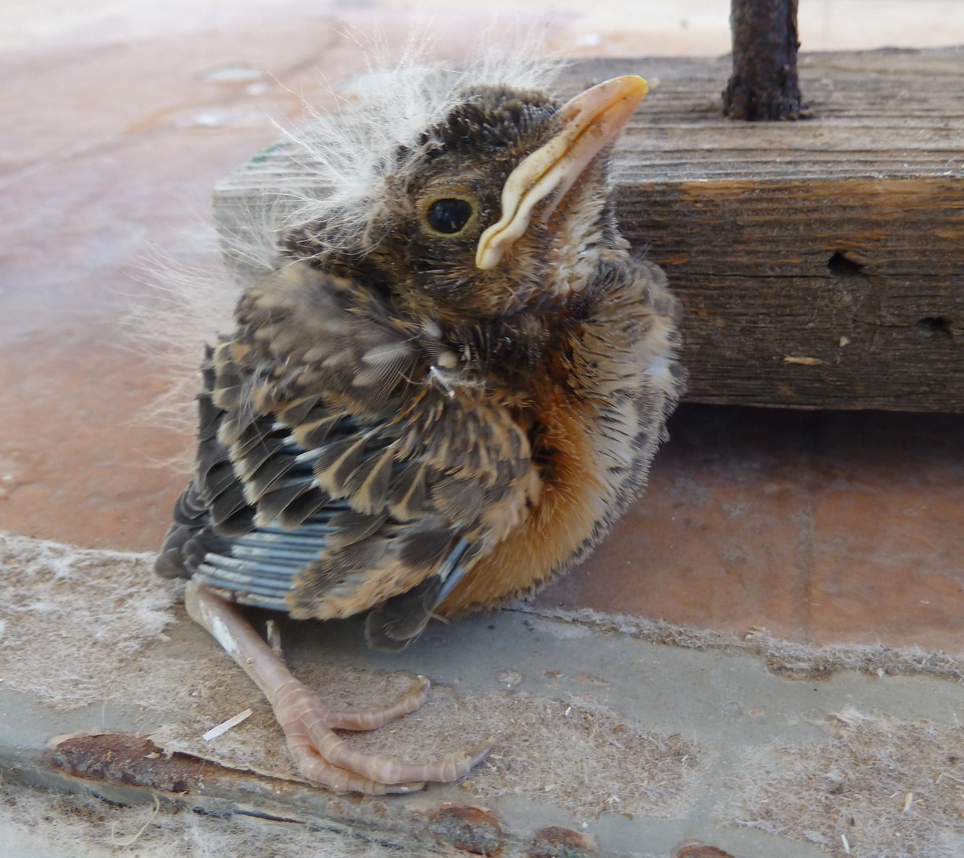 Im20120610pP1070531sm