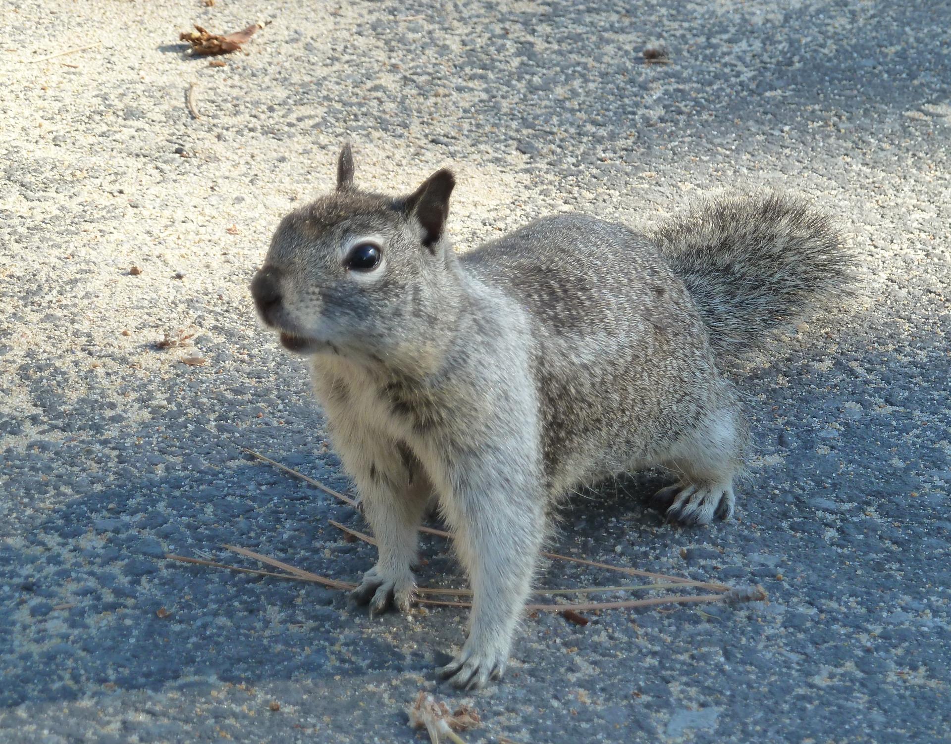 Im20121030pP1090382sm