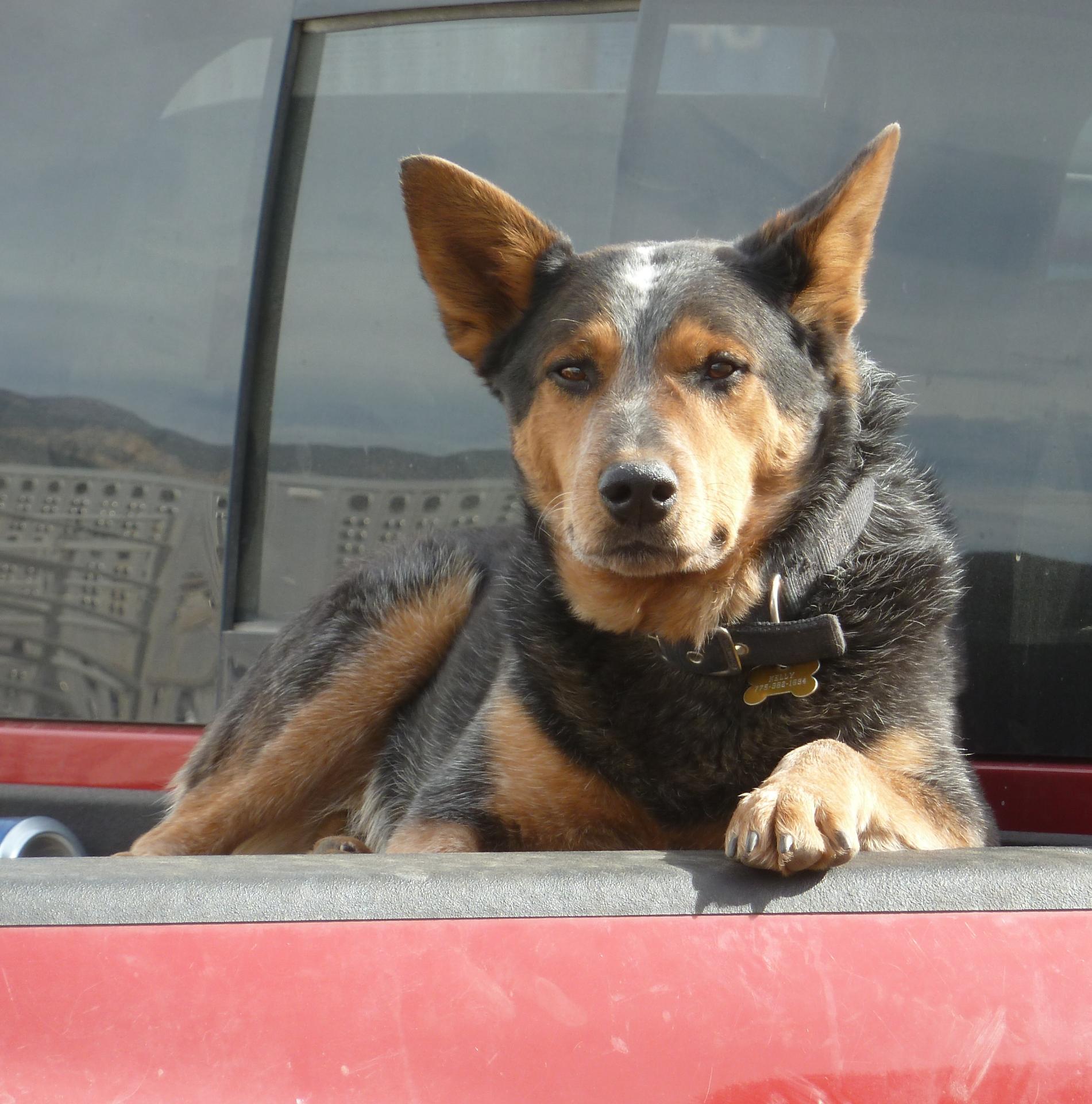 Im20121101pP1090481sm