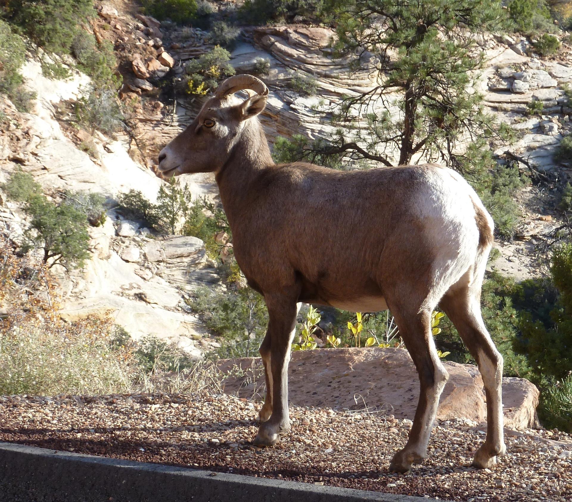 Im20121102pP1090636sm