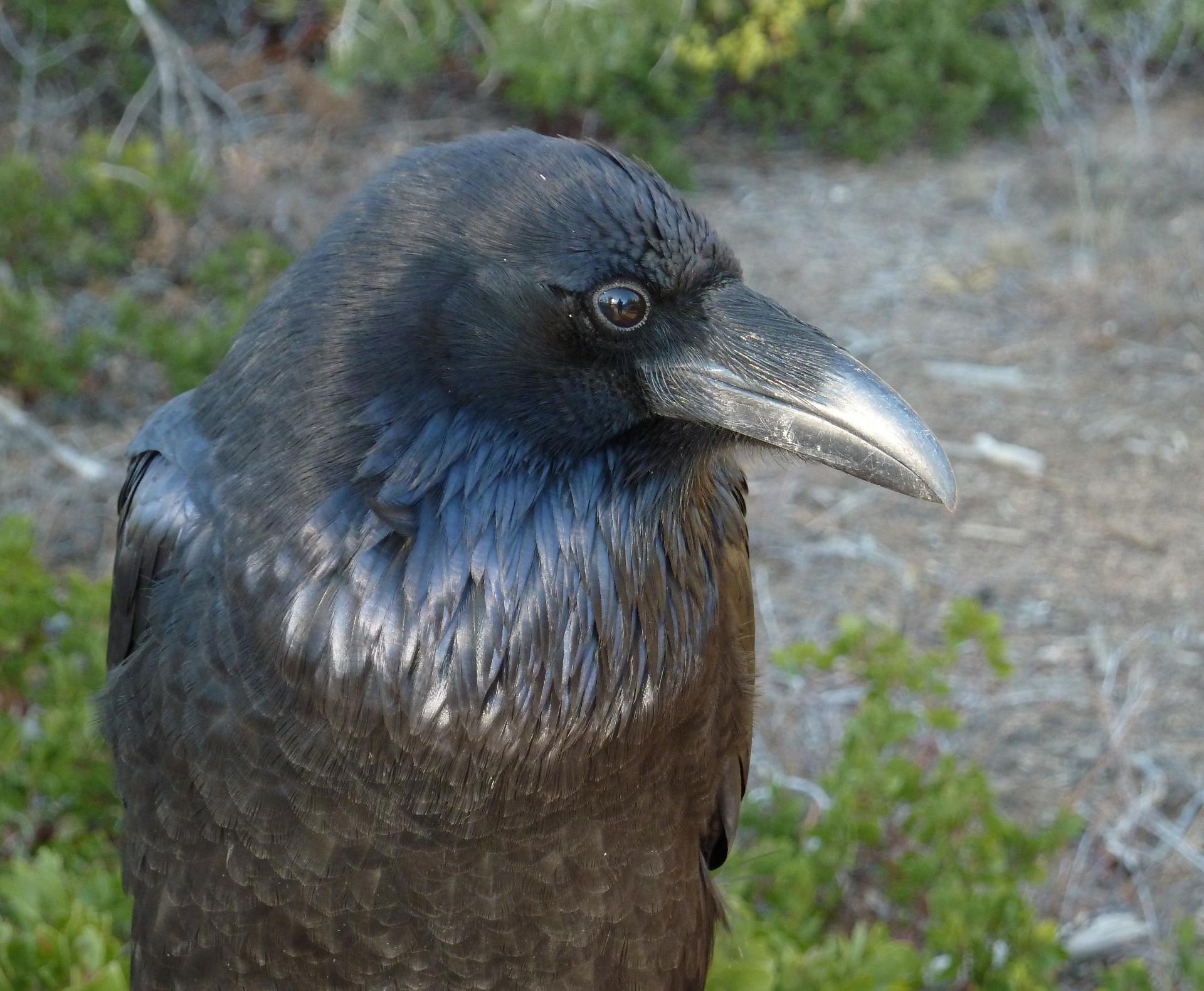 Im20121102pP1090722sm