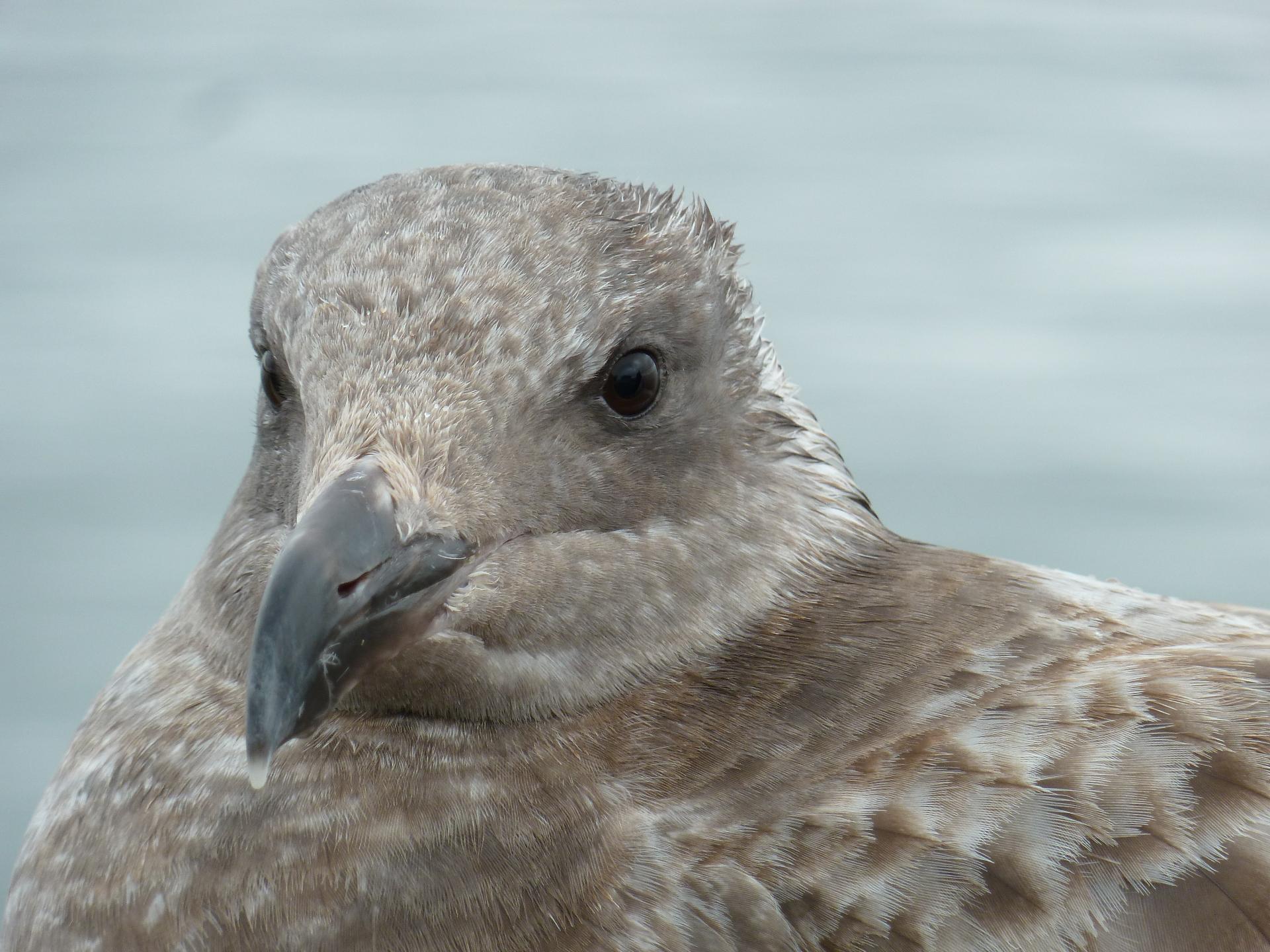 Im20130208pP1120211sm