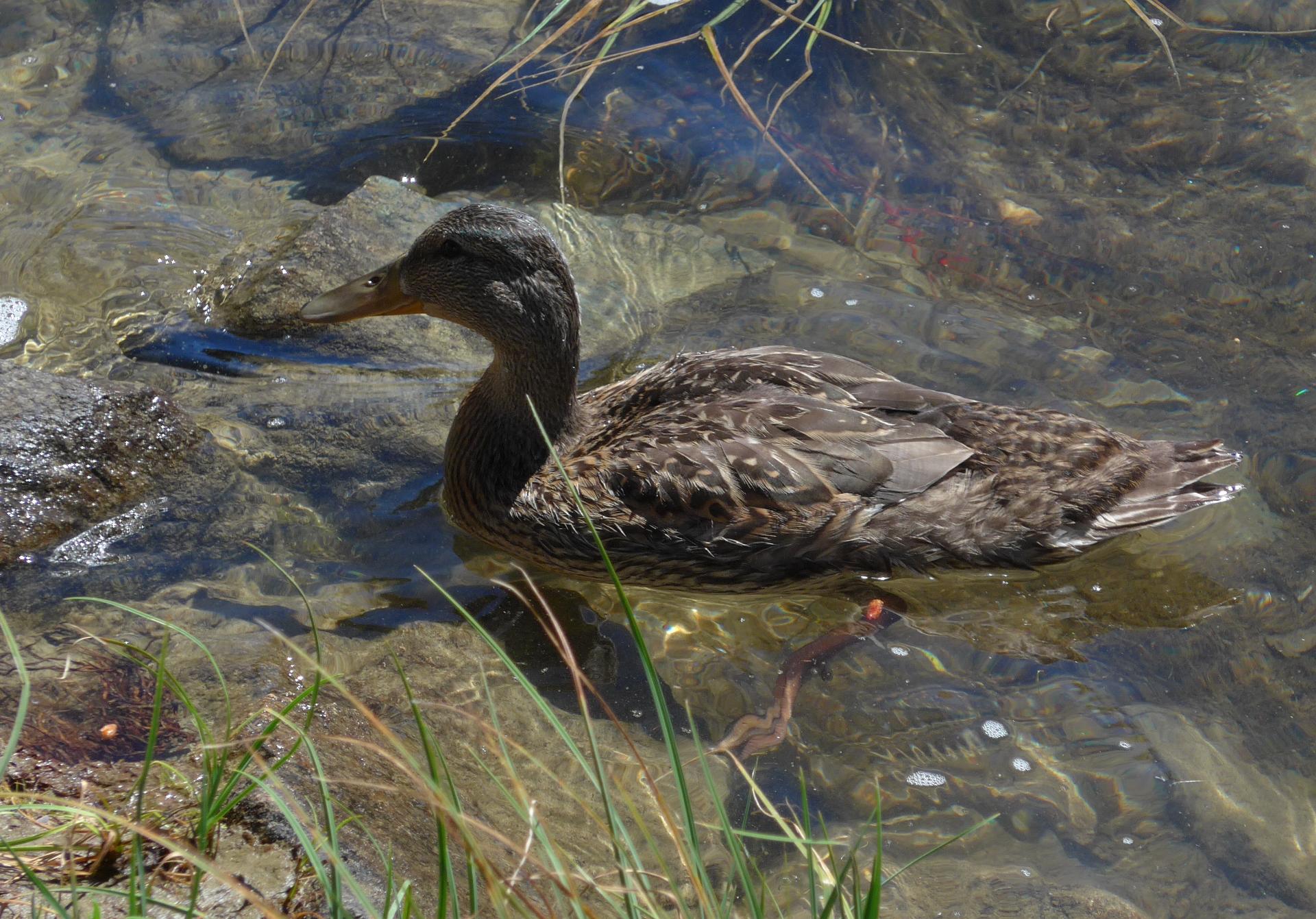 Im20130801cjpP1010148sm