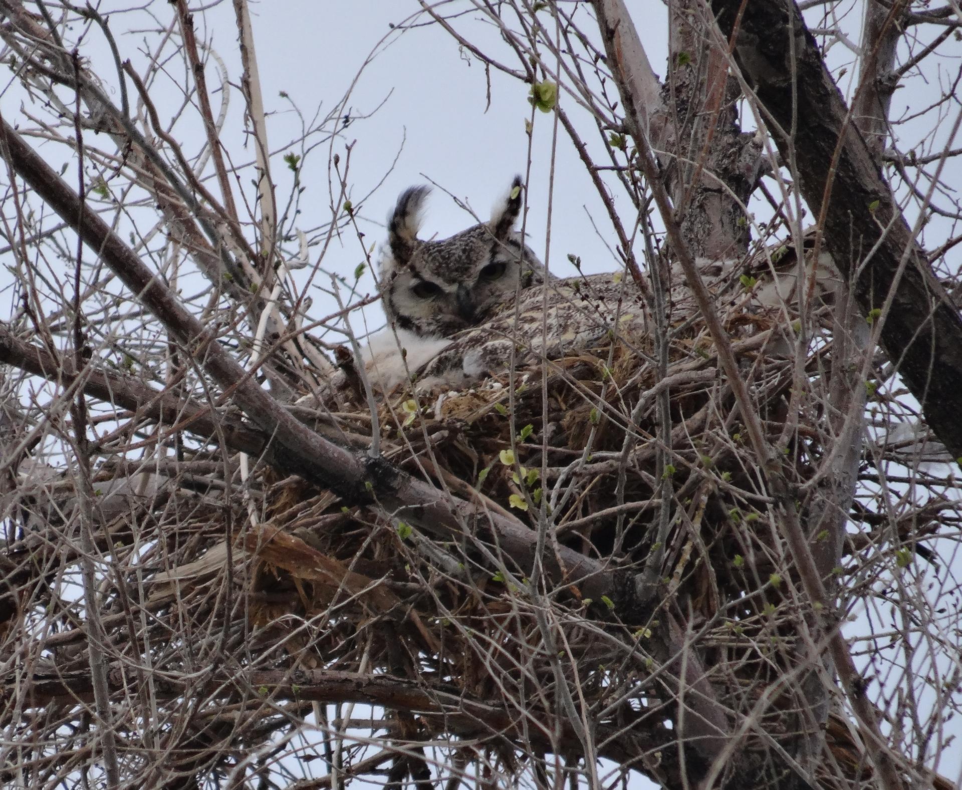 Im20140405scjDSC01328sm