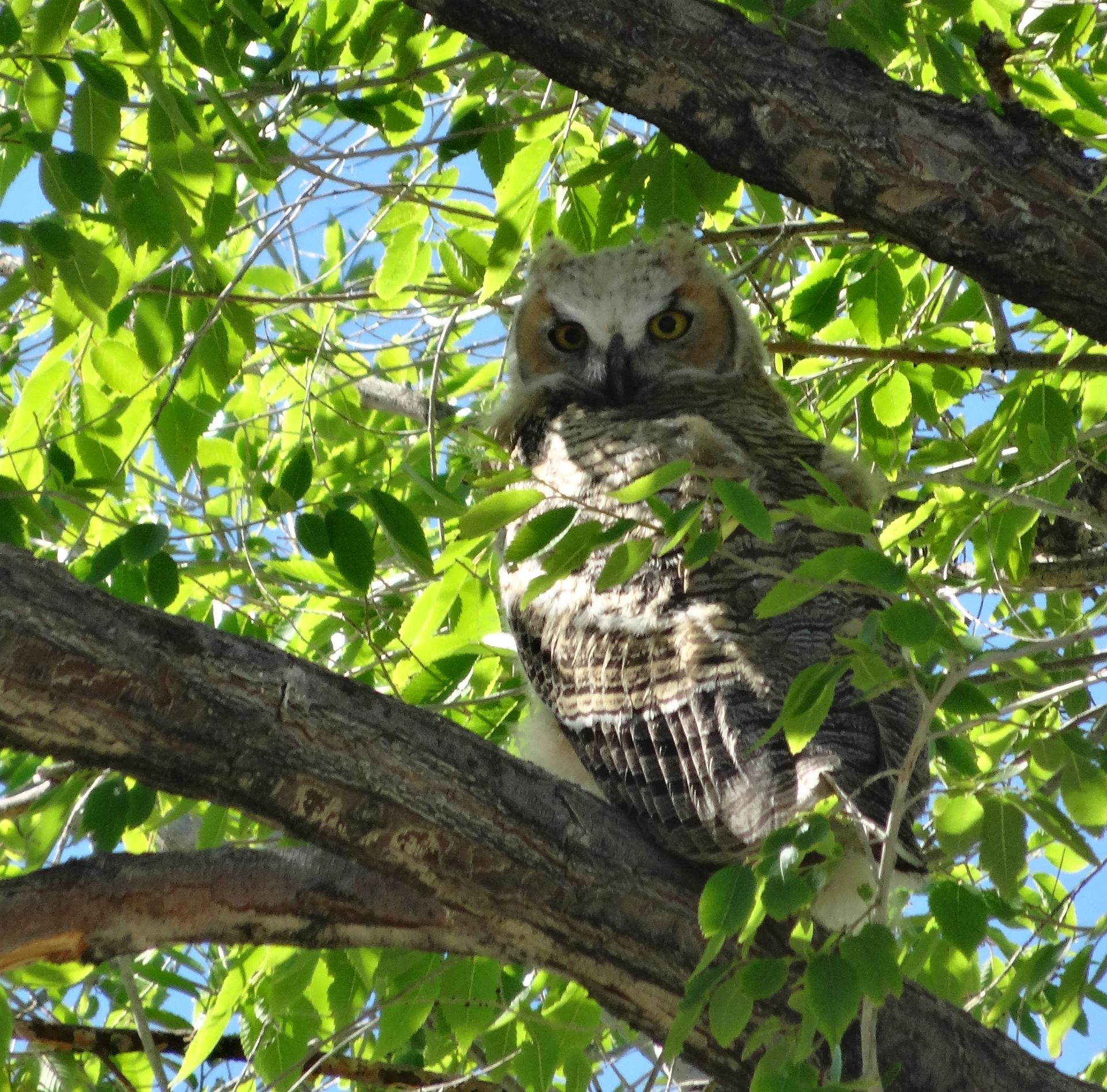 Im20140601sDSC01540sm