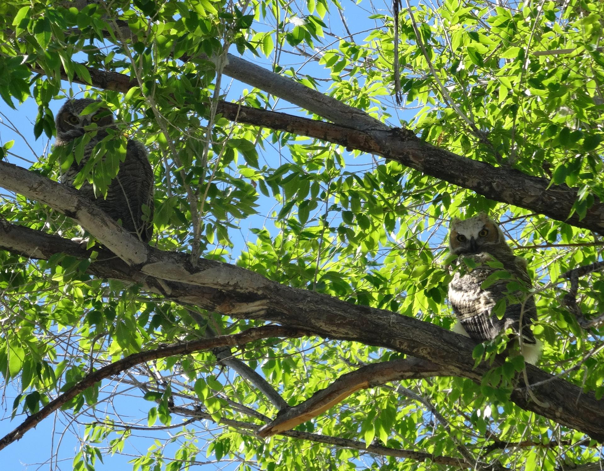 Im20140601sDSC01541sm