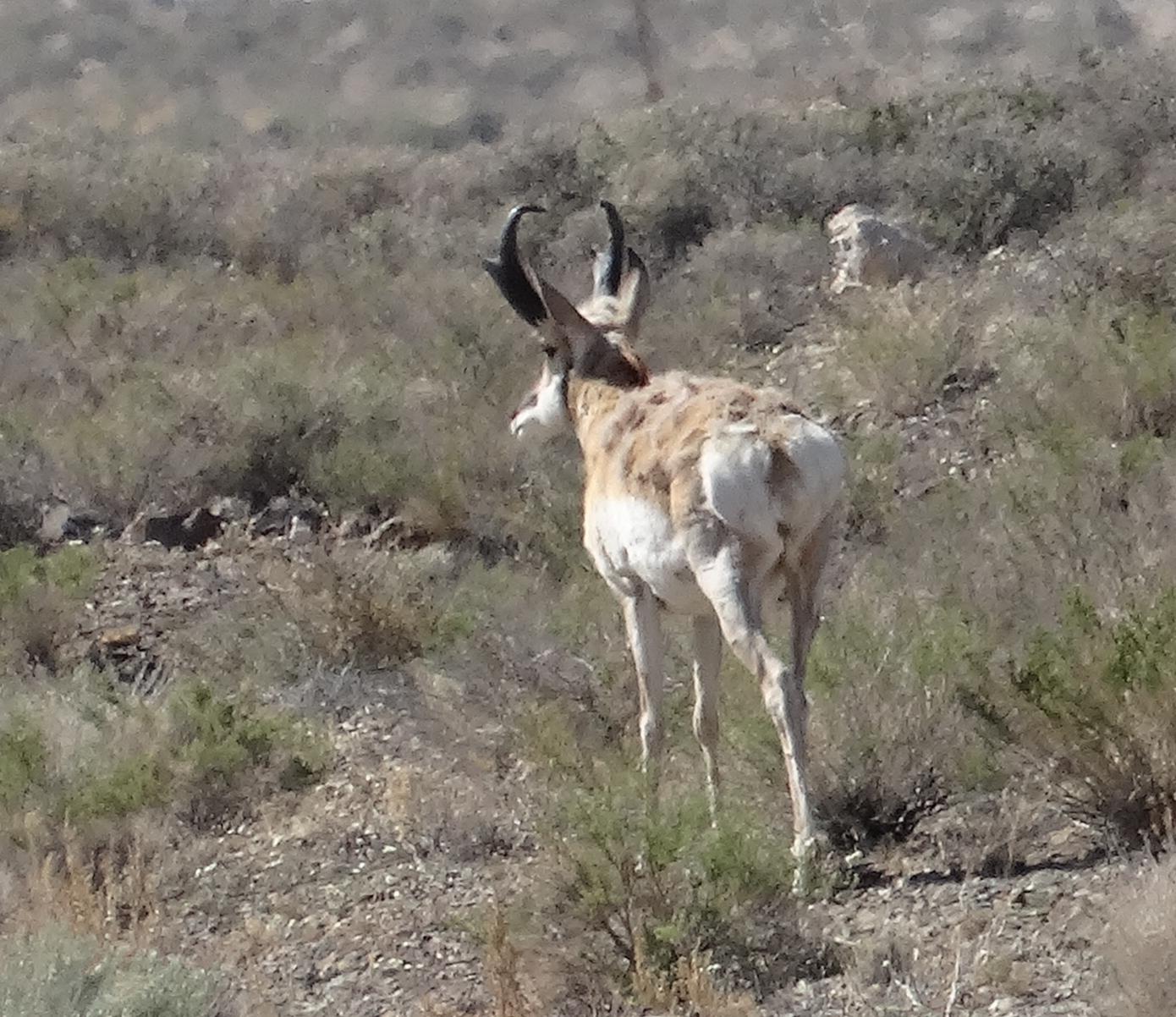 Im20150412sDSC02868sm