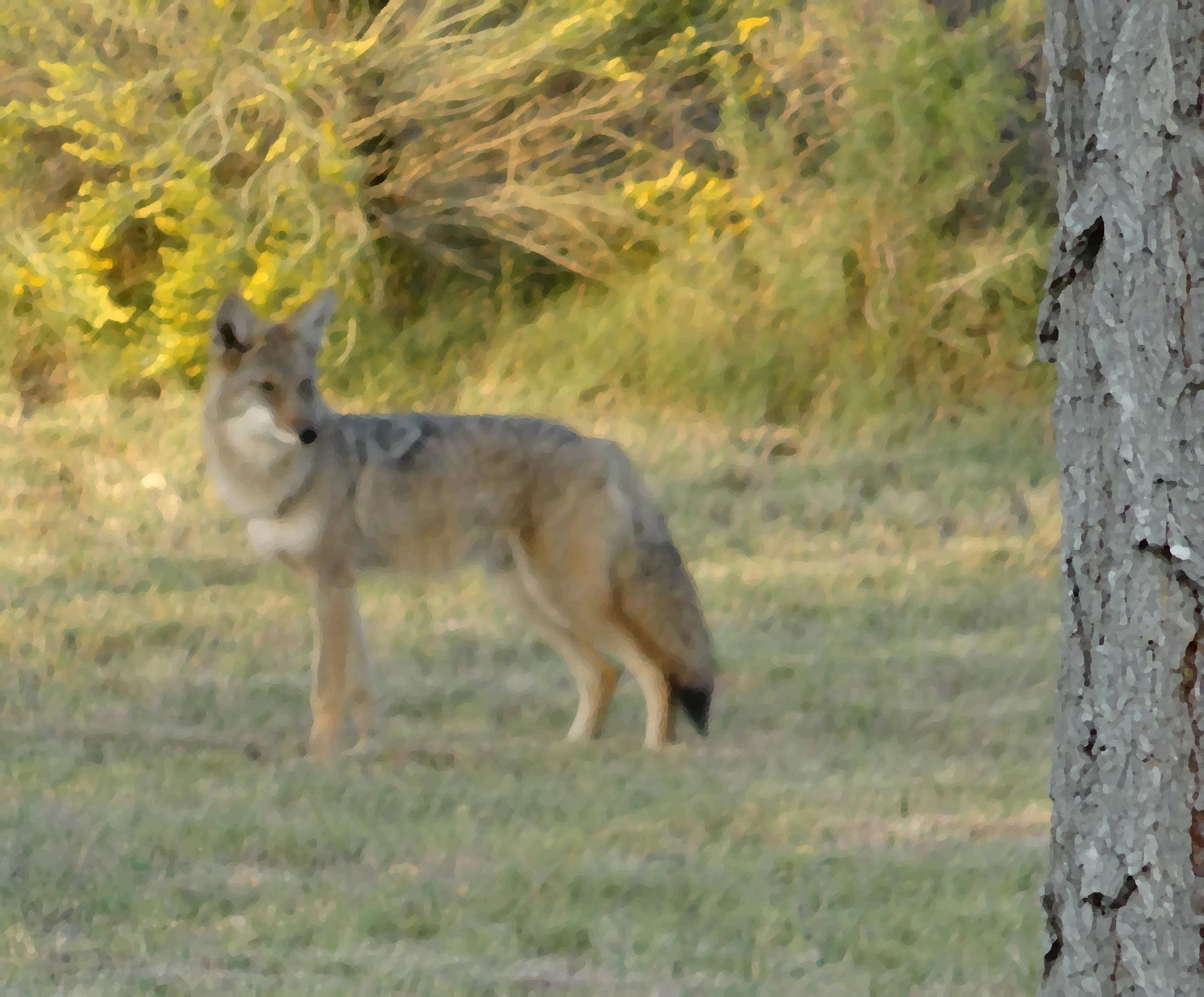 Im20150909psDSC03462sm