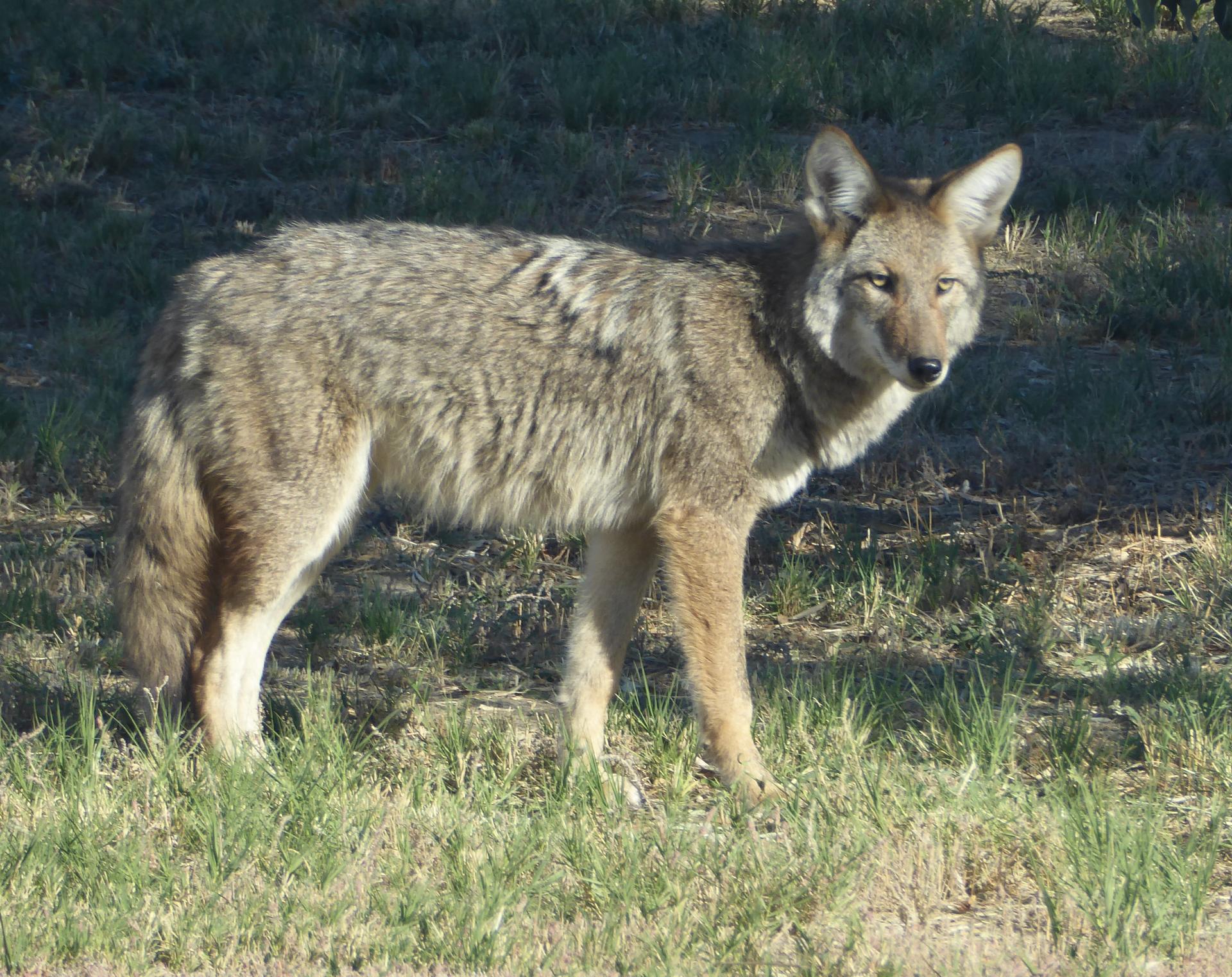 Im20151008pjP1000495sm