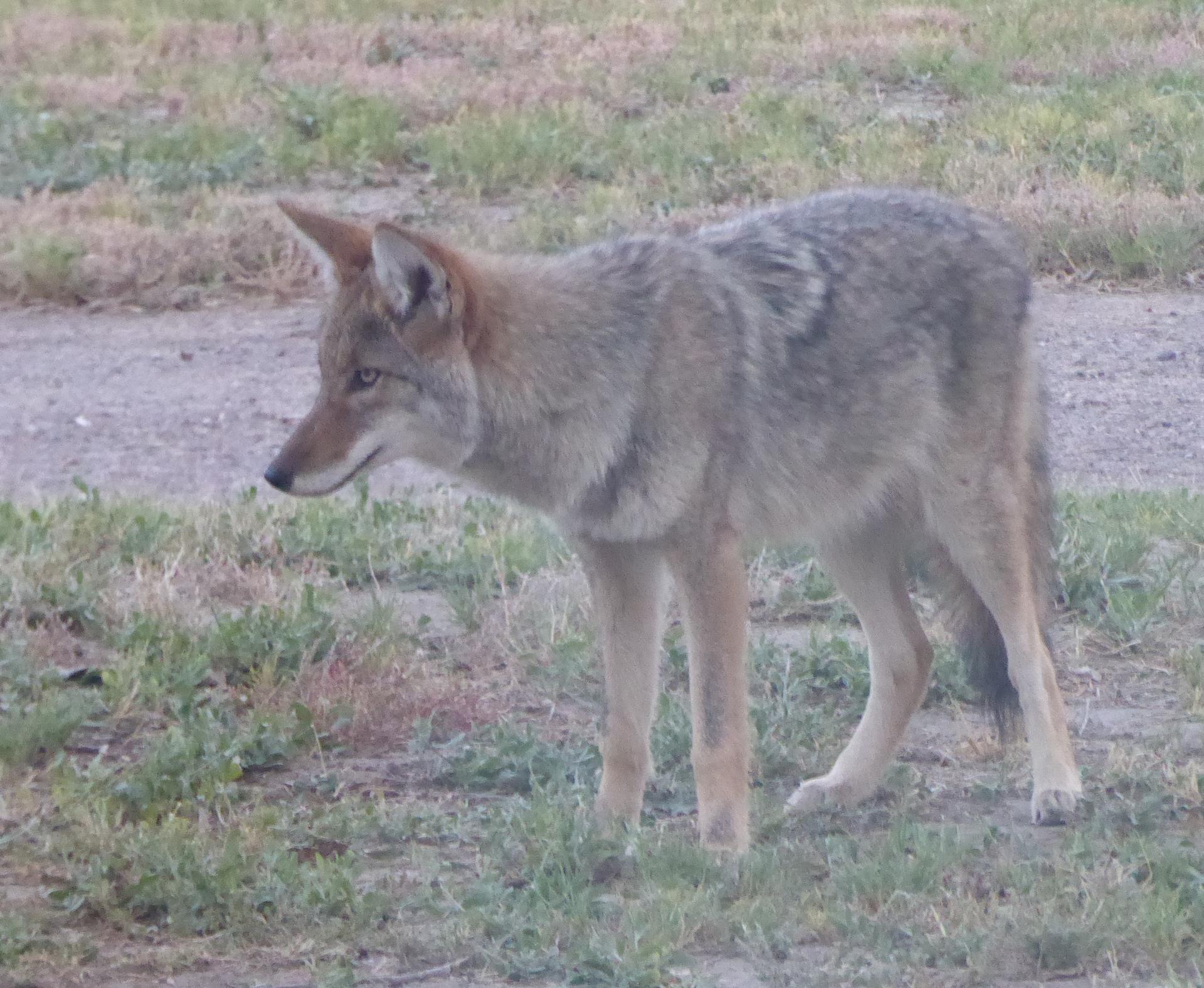 Im20151008pjP1000498sm