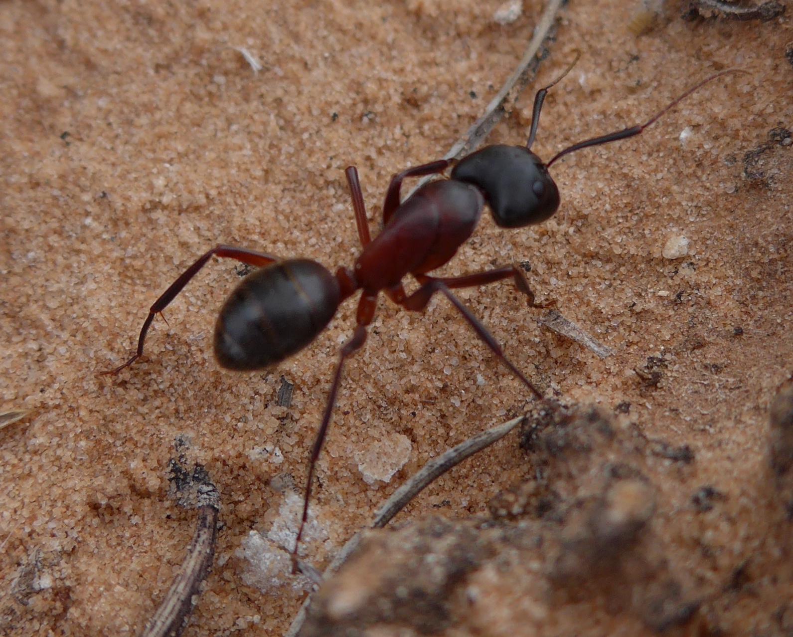 Im20160506pdP1130992sm