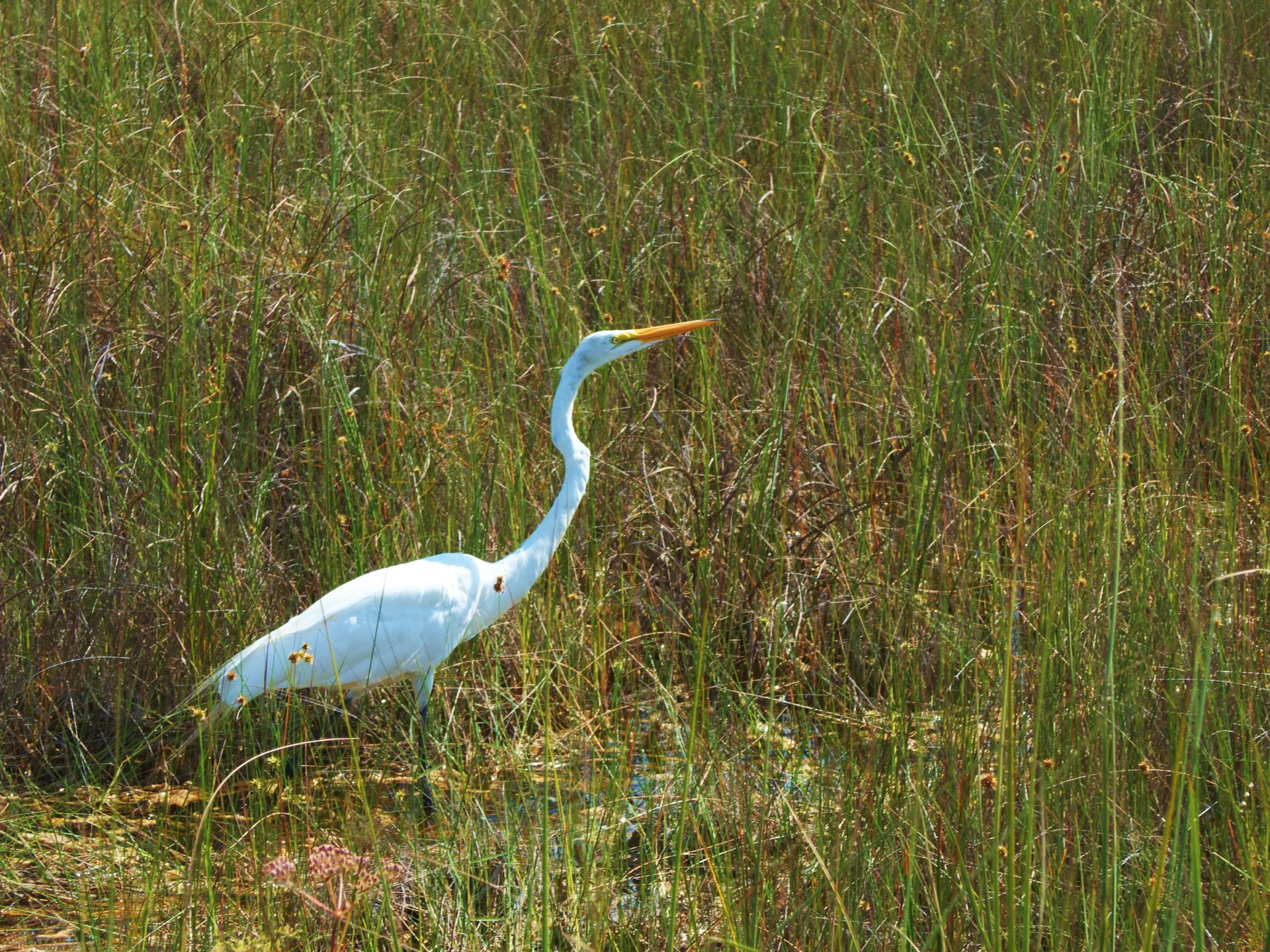 Im20160523pdP1140319rw2sm