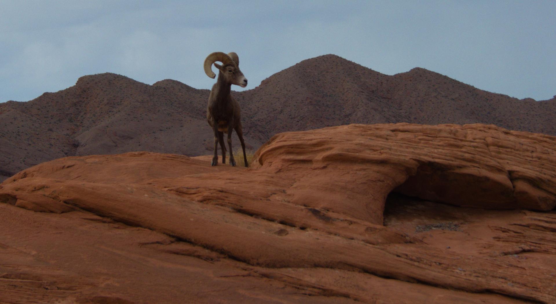 Im20181227rw2P1030572rw2sm