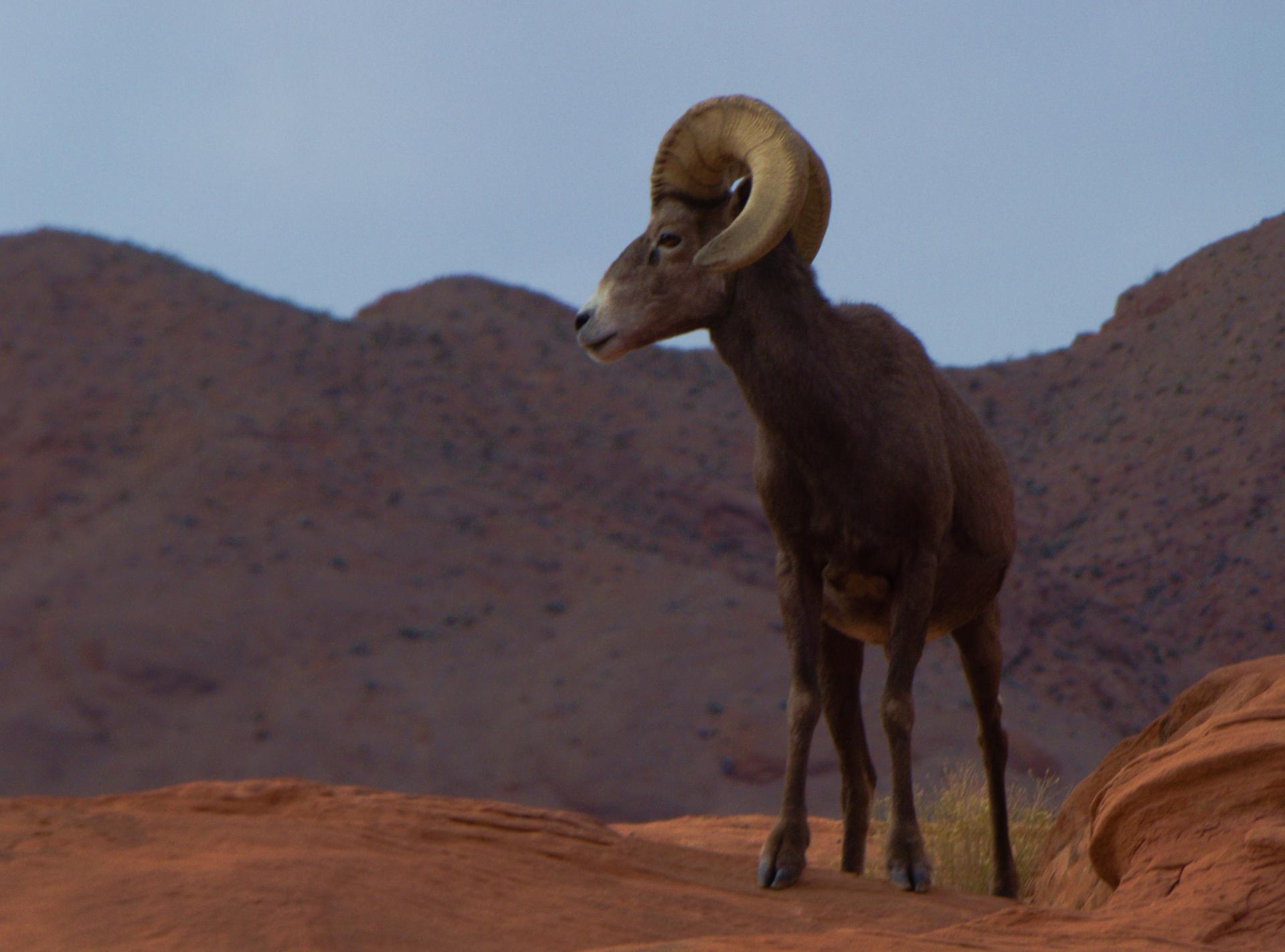 Im20181227rw2P1030575rw2sm