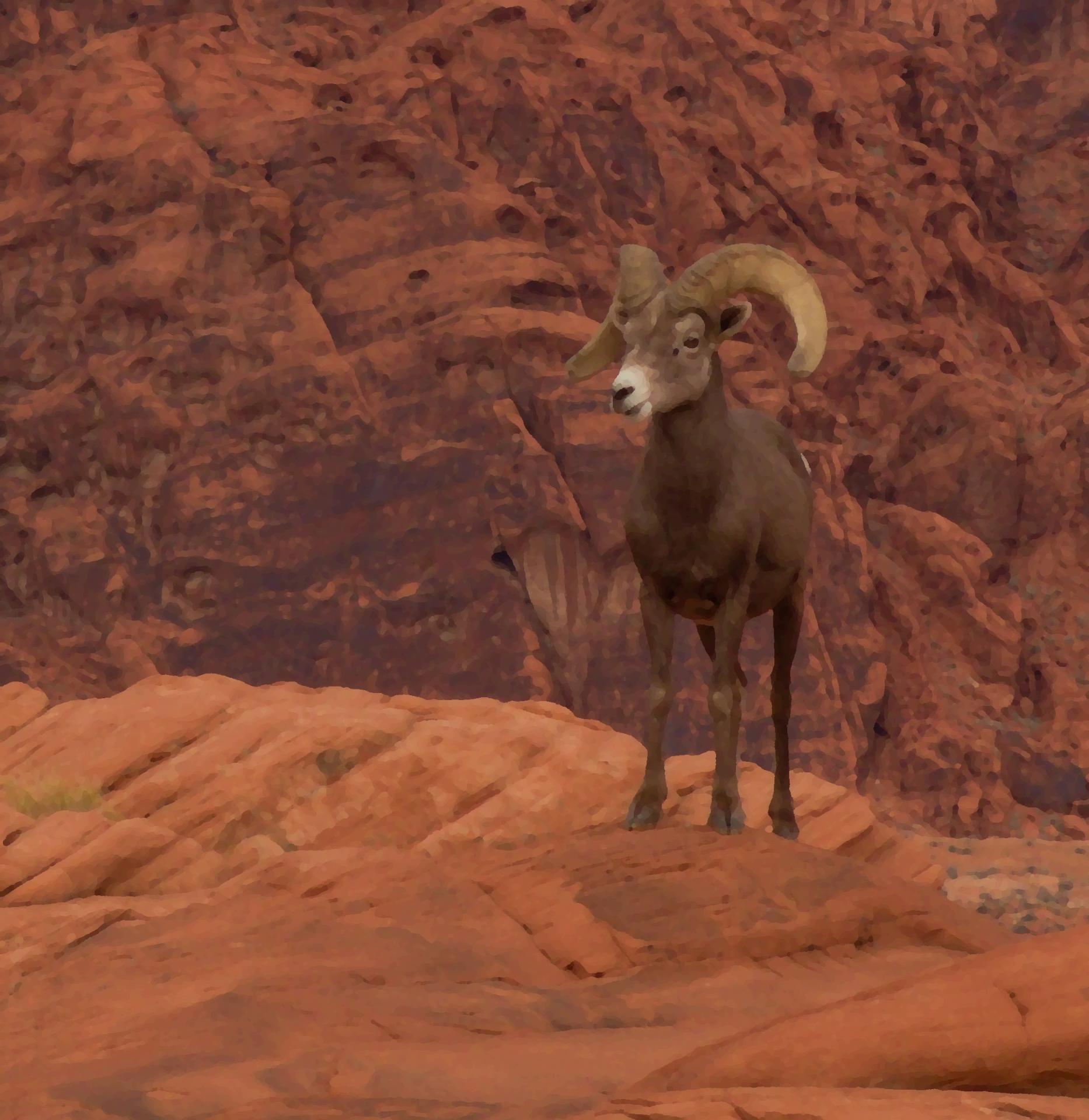 Im20181227rw2P1210993rw2sm