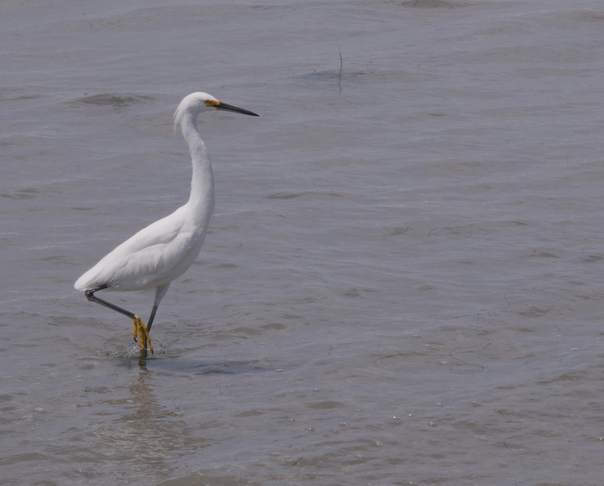 Im20210621rw2P1020030rw2sm