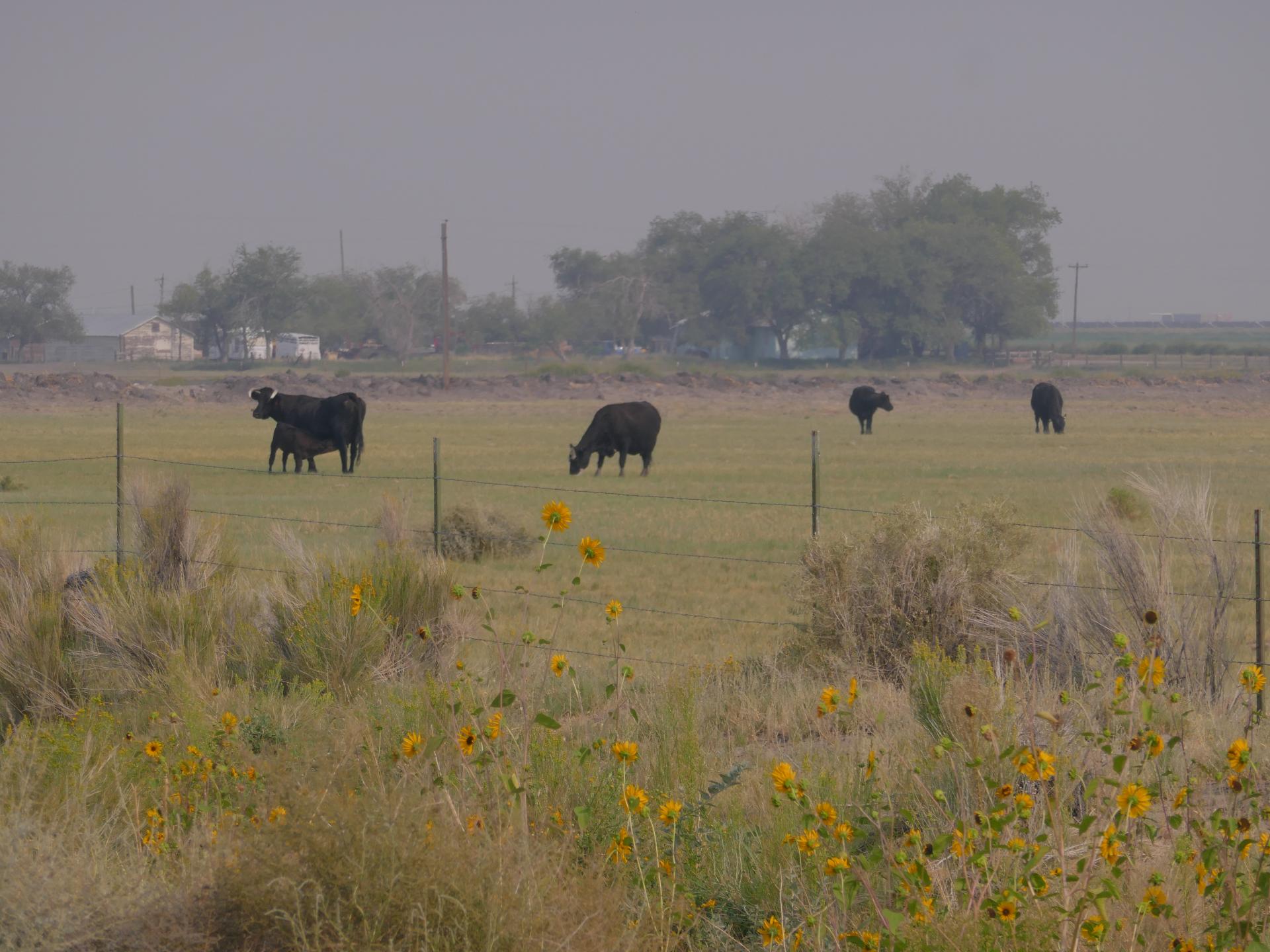 Im20210902oriP1020646sm