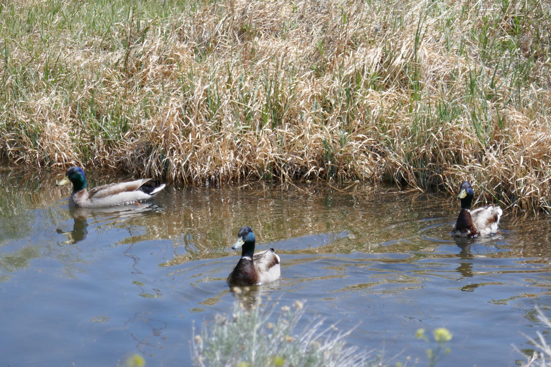 Im20220507oriP1050622sm